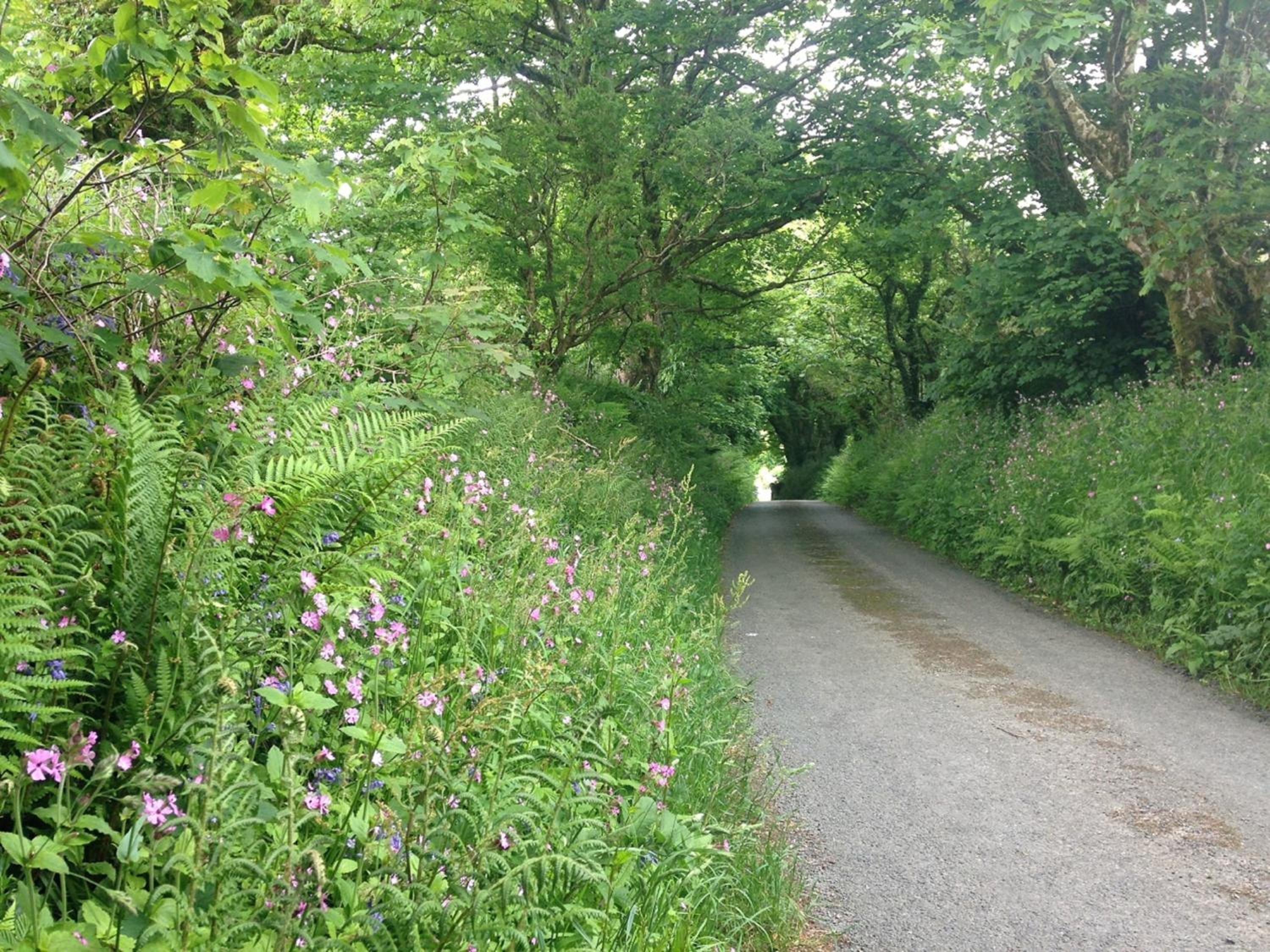 Photo 28