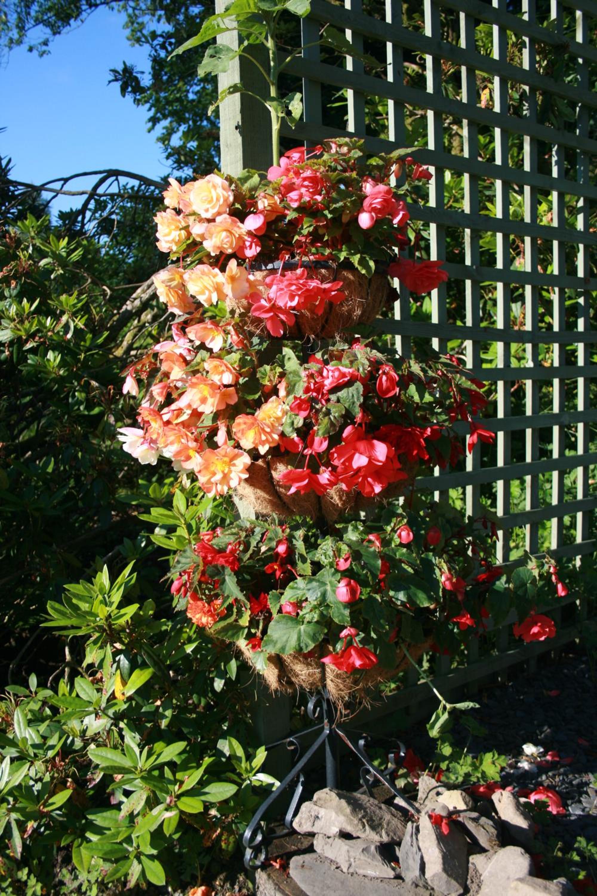 Photo 22