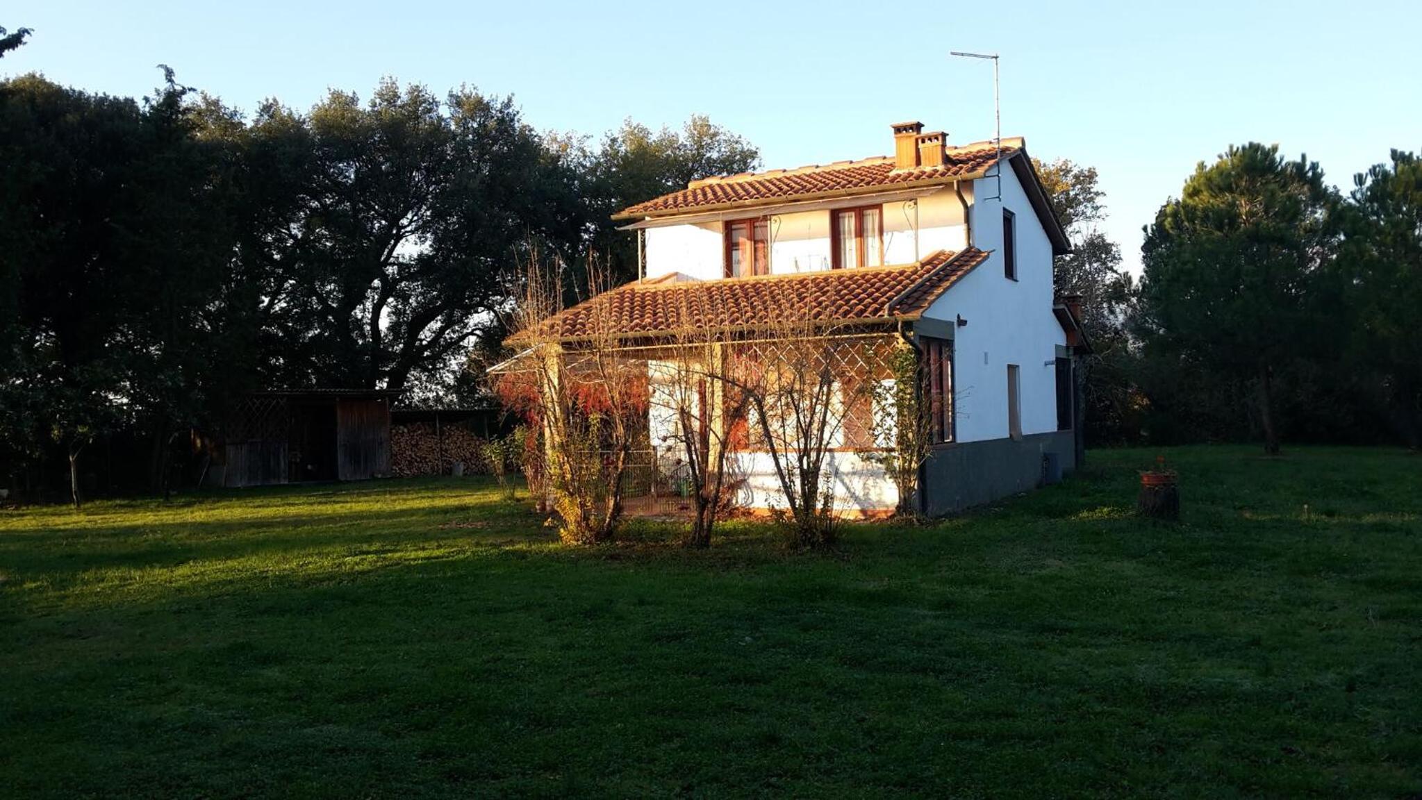 Photo 49