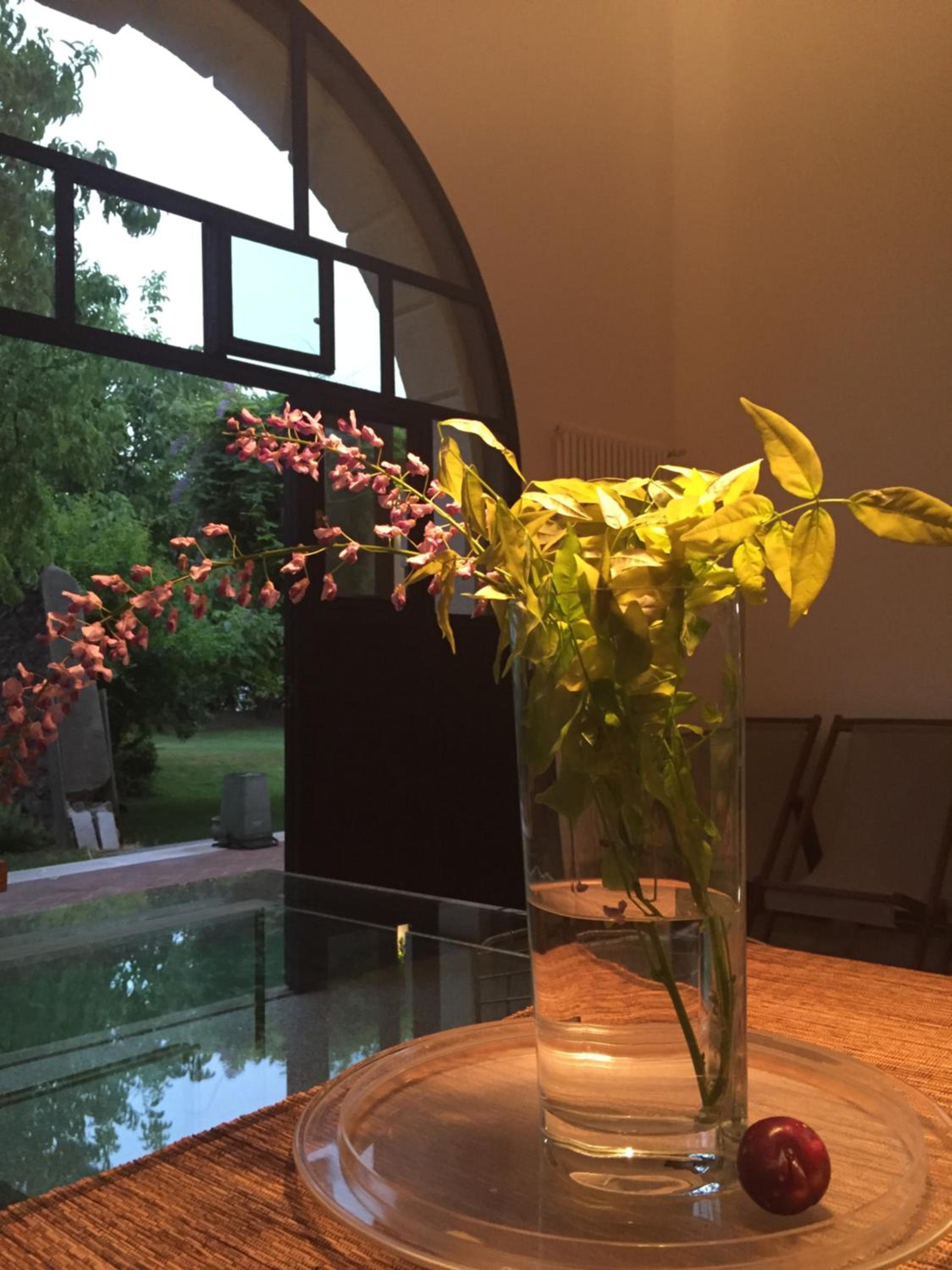 Ca' Bert Villa dei Glicini B&B