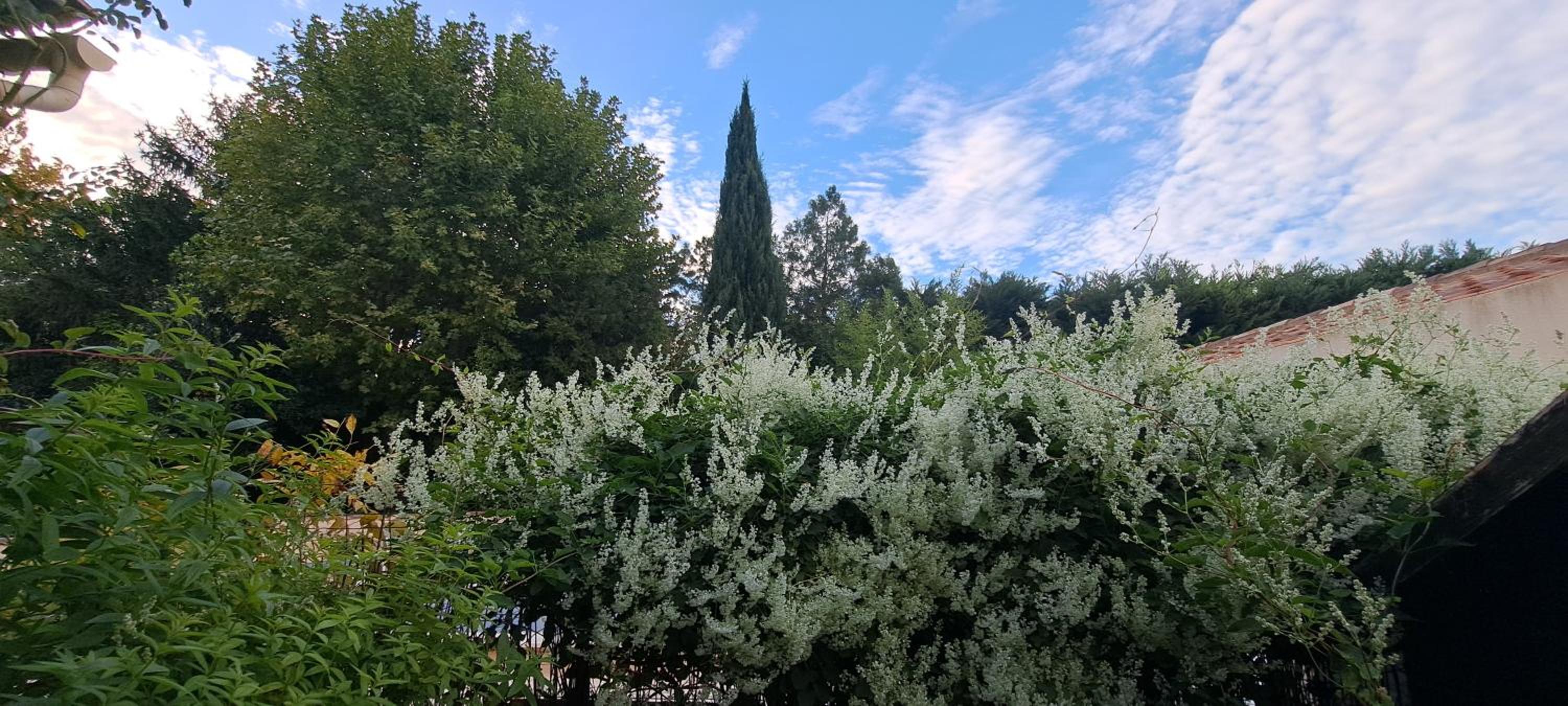 L'Oustau dei Aucèus Saint Rémy de Provence