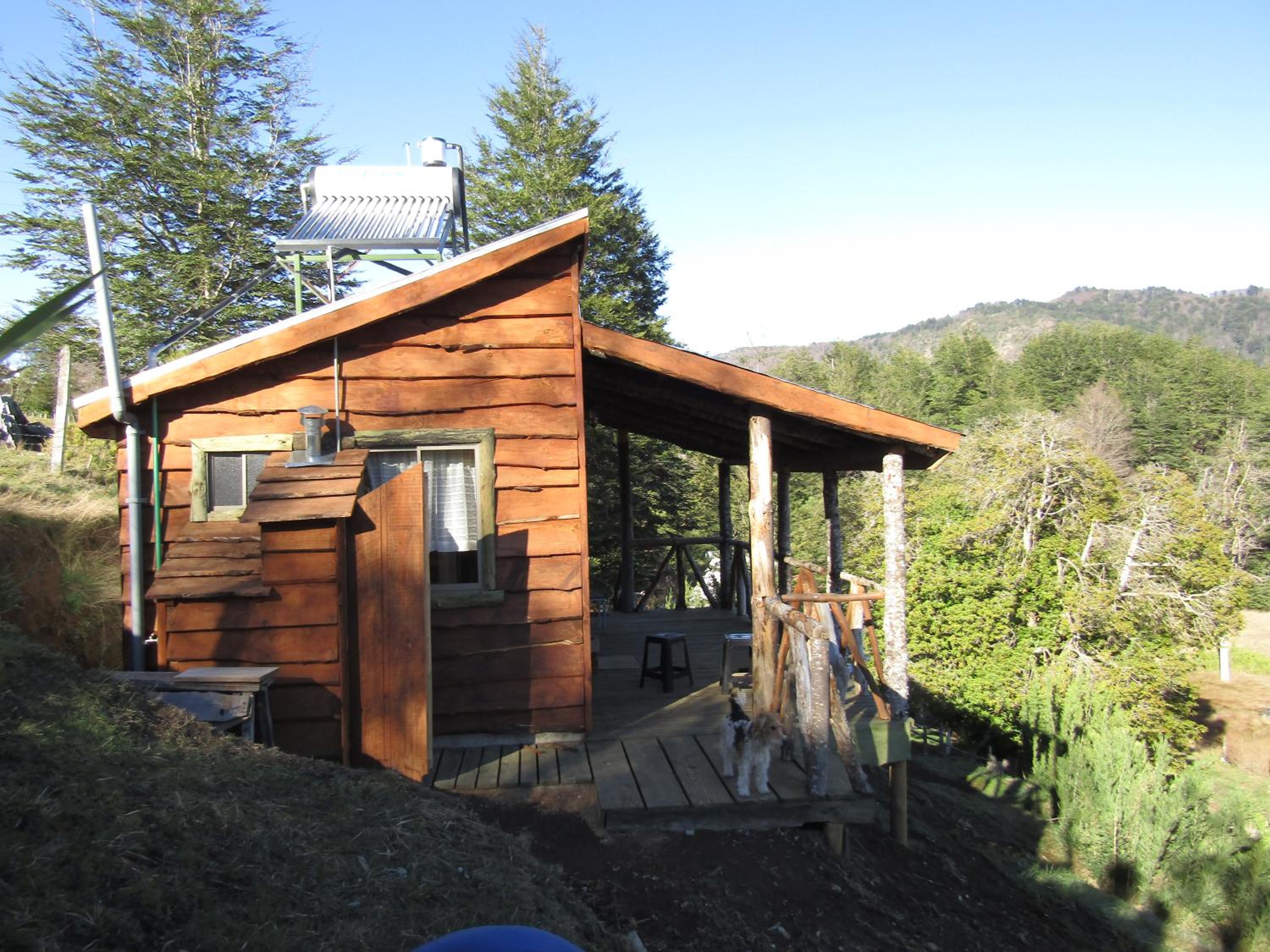 Photo 23