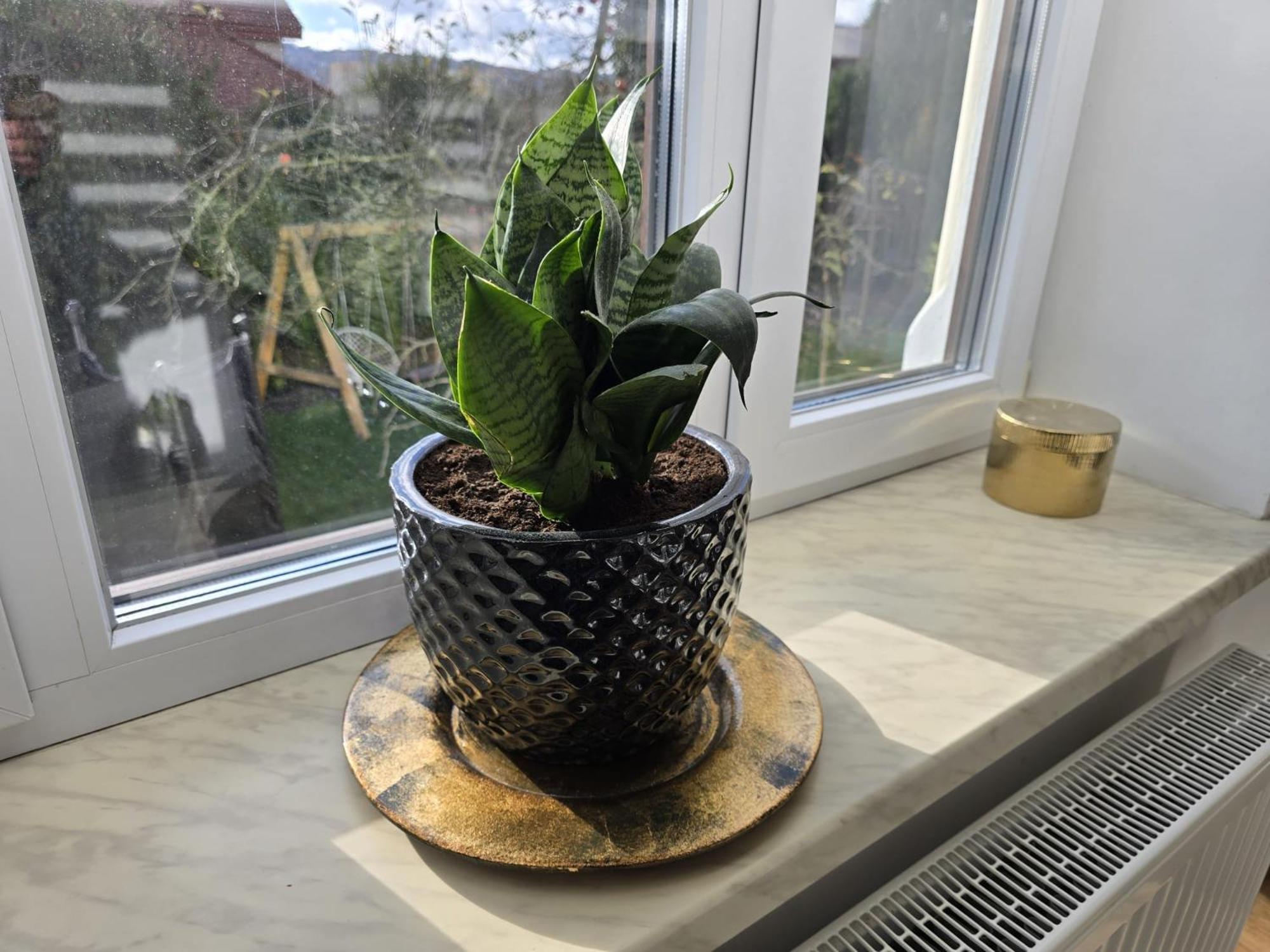 Apartamenty CAPPUCCINO