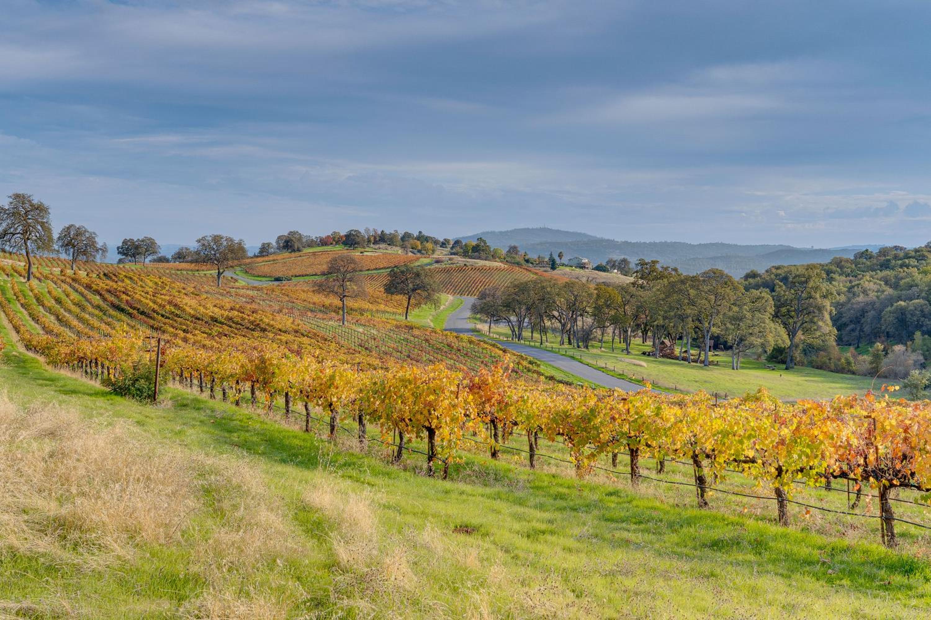 Luxury Pilot Hill Estate on an 800-Acre Vineyard