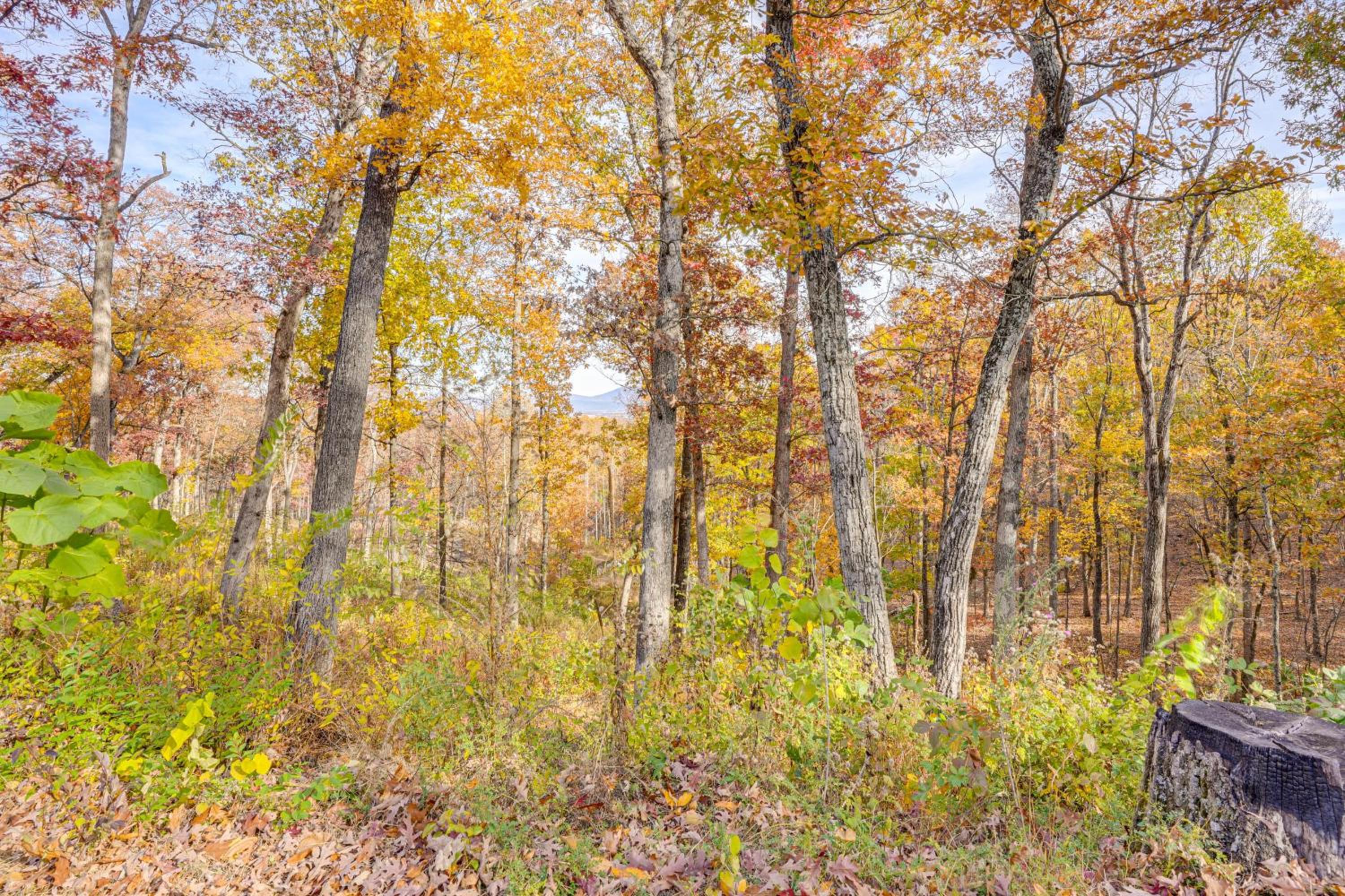 Hike On-Site! 16-Acre Escape Near Shenandoah NP