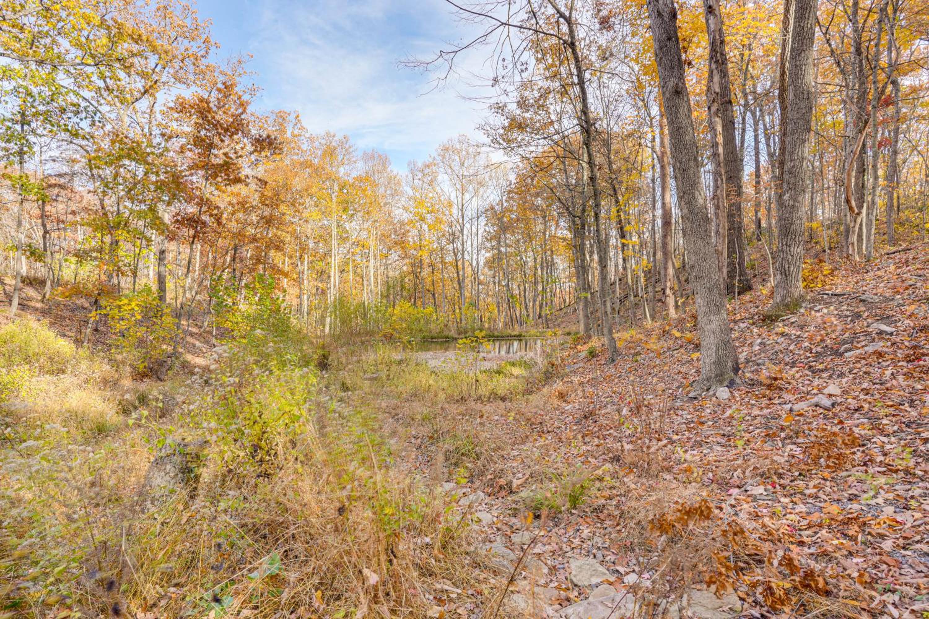 Hike On-Site! 16-Acre Escape Near Shenandoah NP