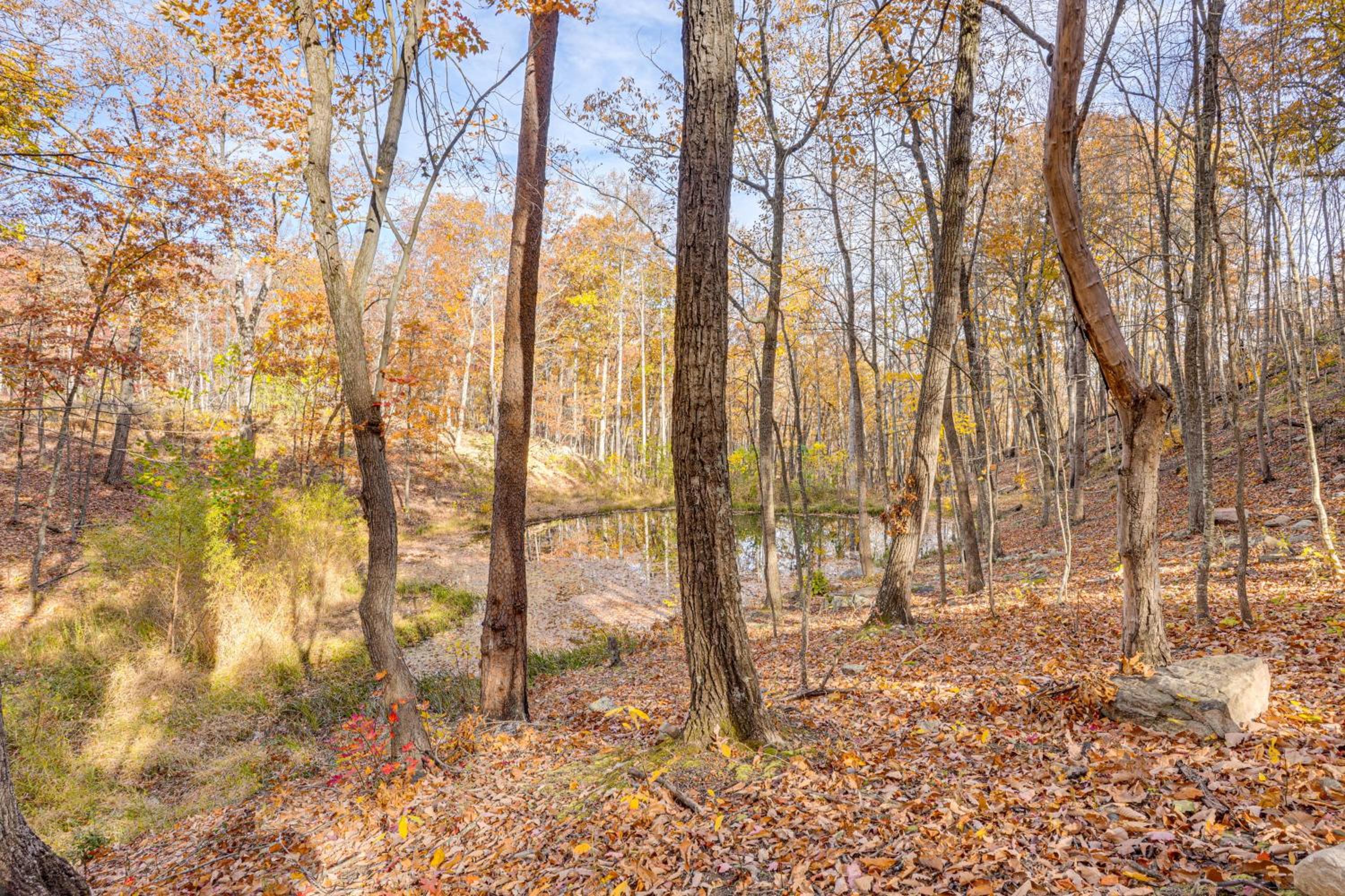 Hike On-Site! 16-Acre Escape Near Shenandoah NP