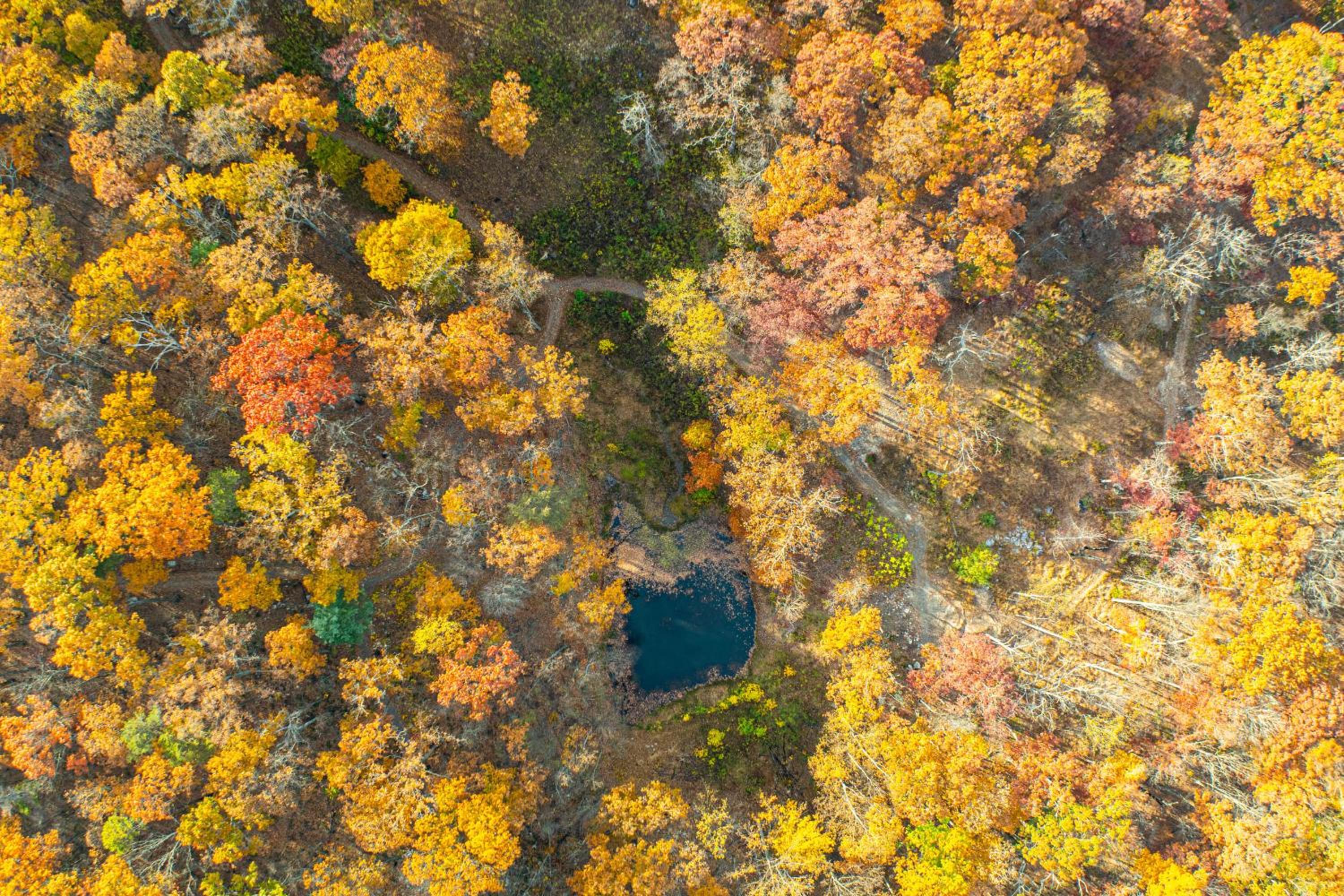 Hike On-Site! 16-Acre Escape Near Shenandoah NP
