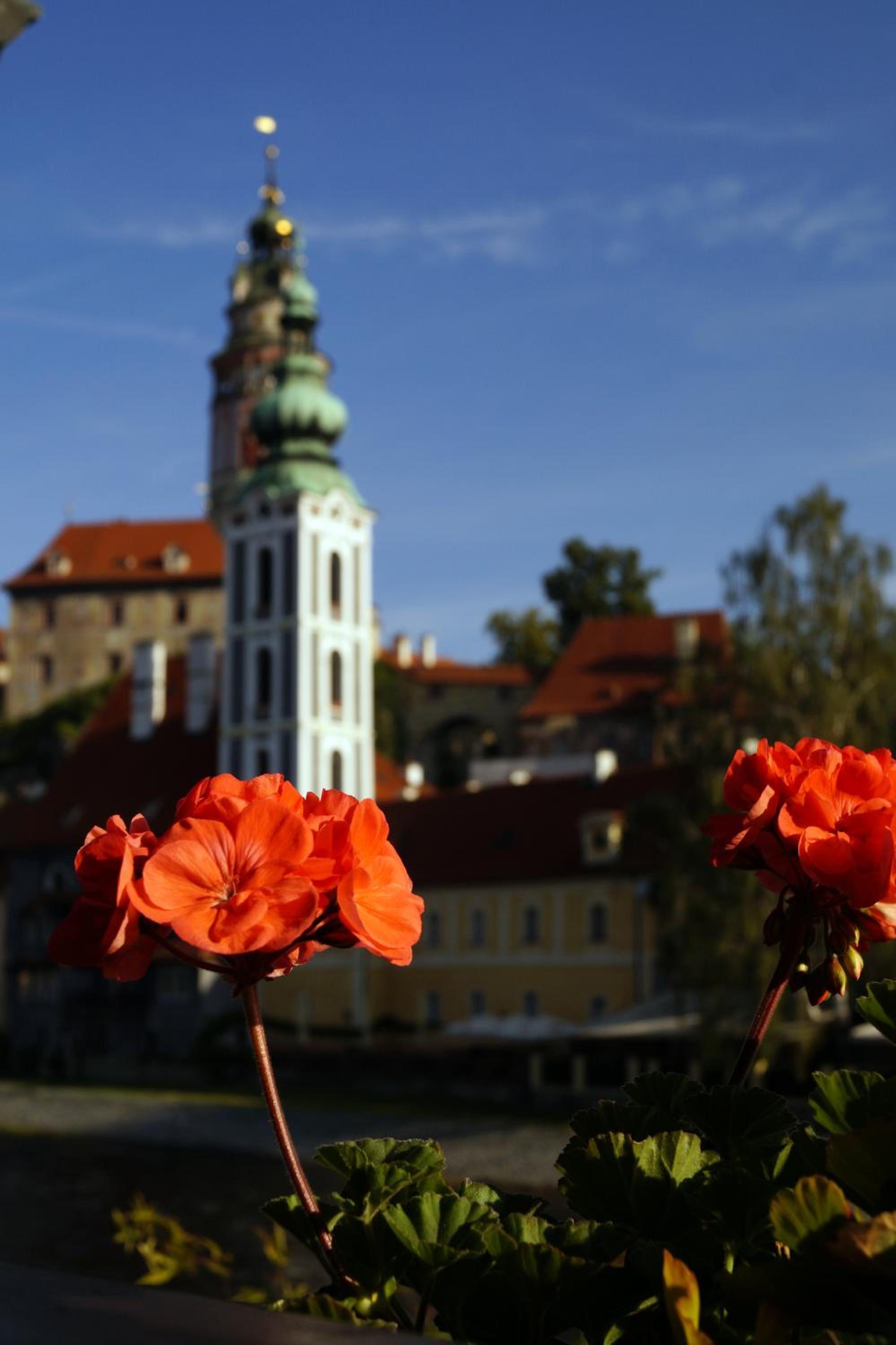 Guest House Olšakovský