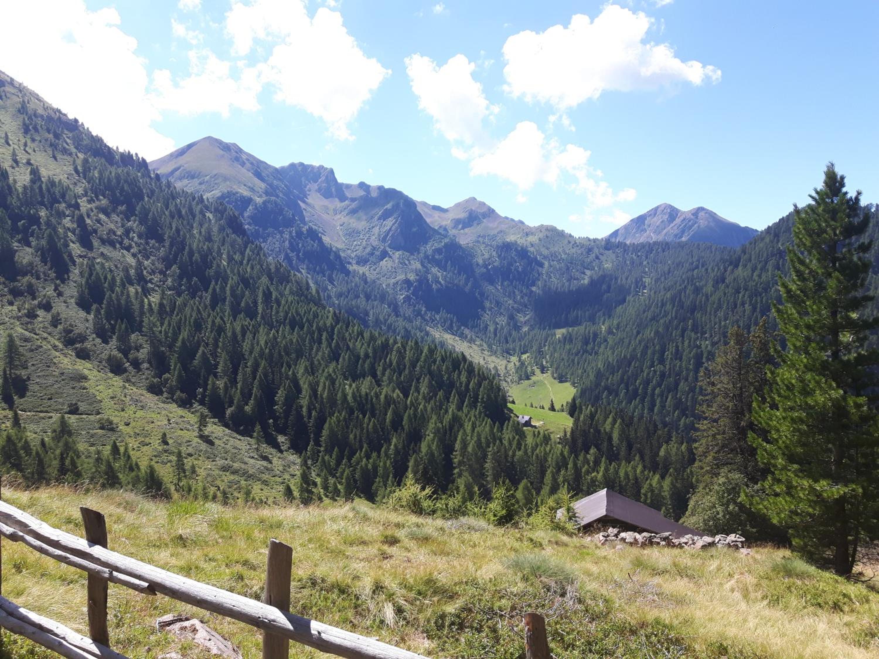 Photo 44