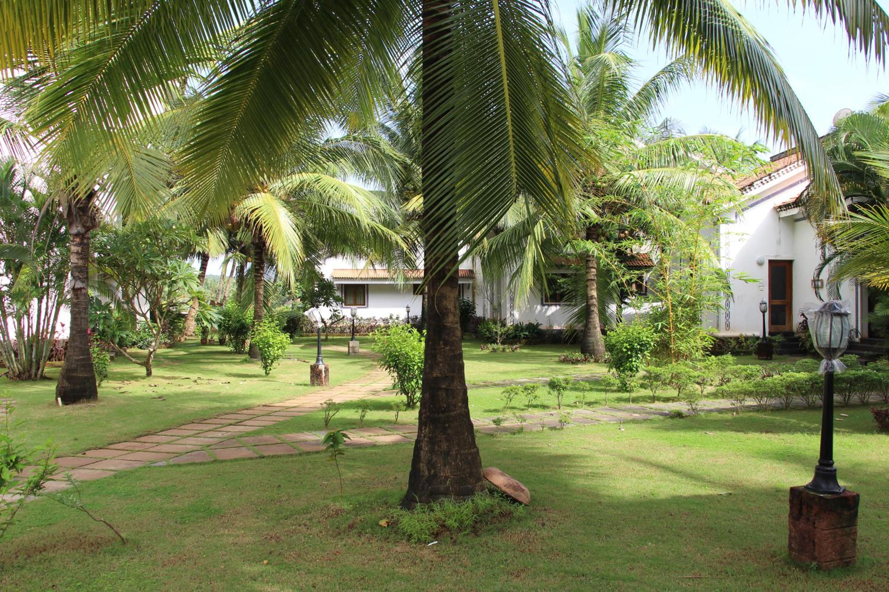 Photo 42