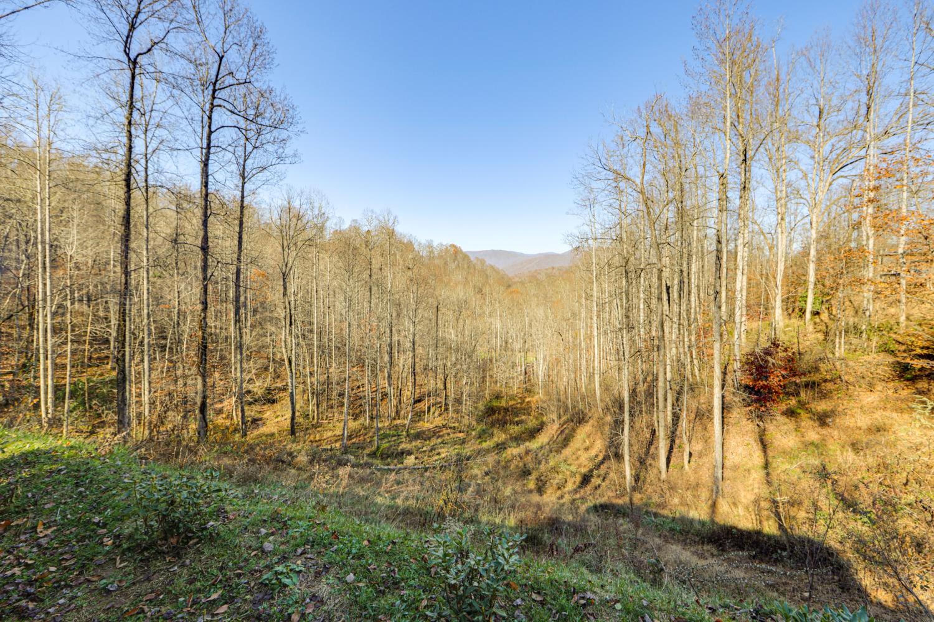 Hot Tub Haven! Mtn-View Home 13 Mi to Bryson City!