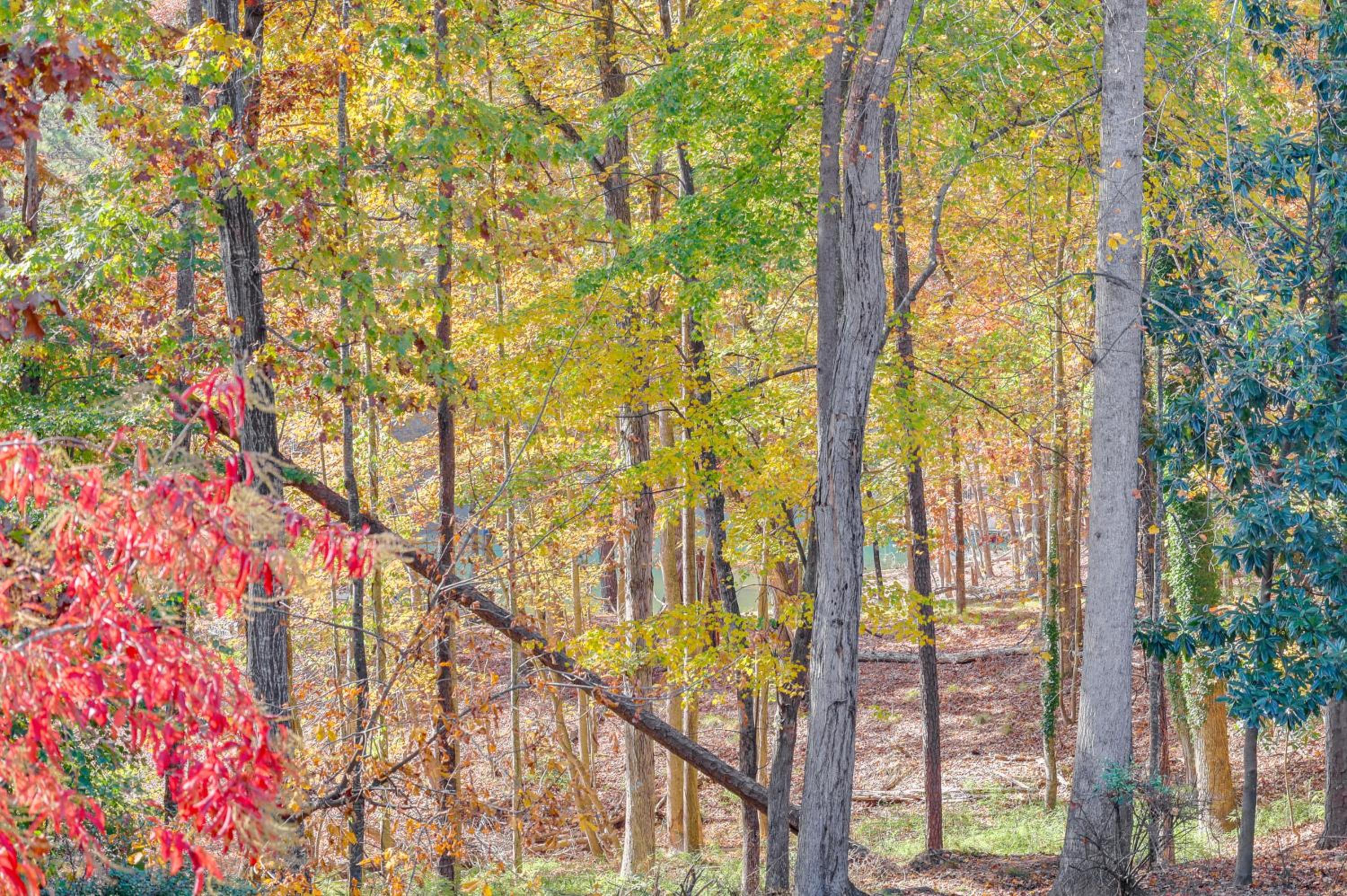 Steps to Lake Lanier Wooded Escape with Boat Dock