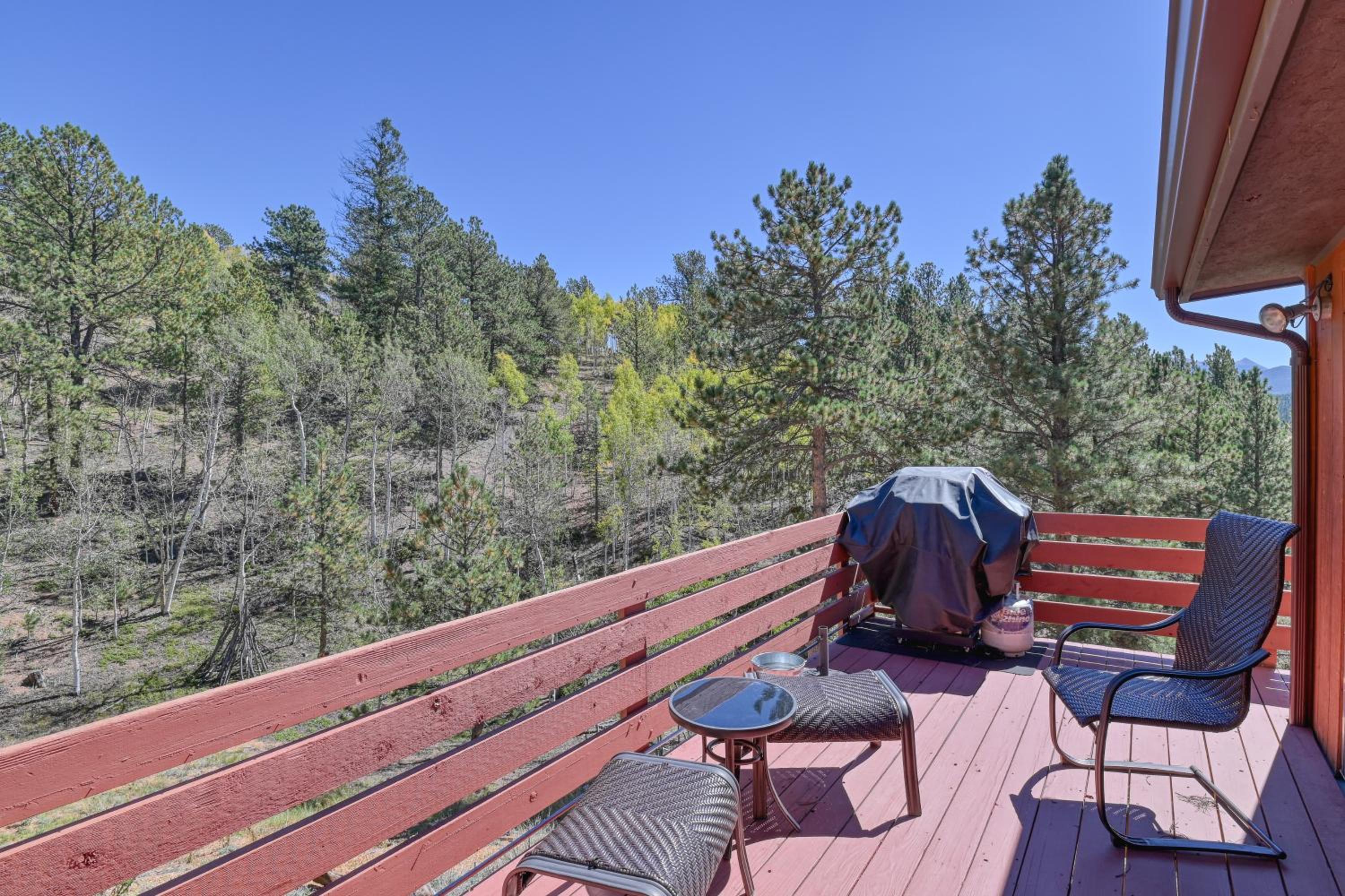 Close to Pike Natl Forest! Lake-View Family Cabin