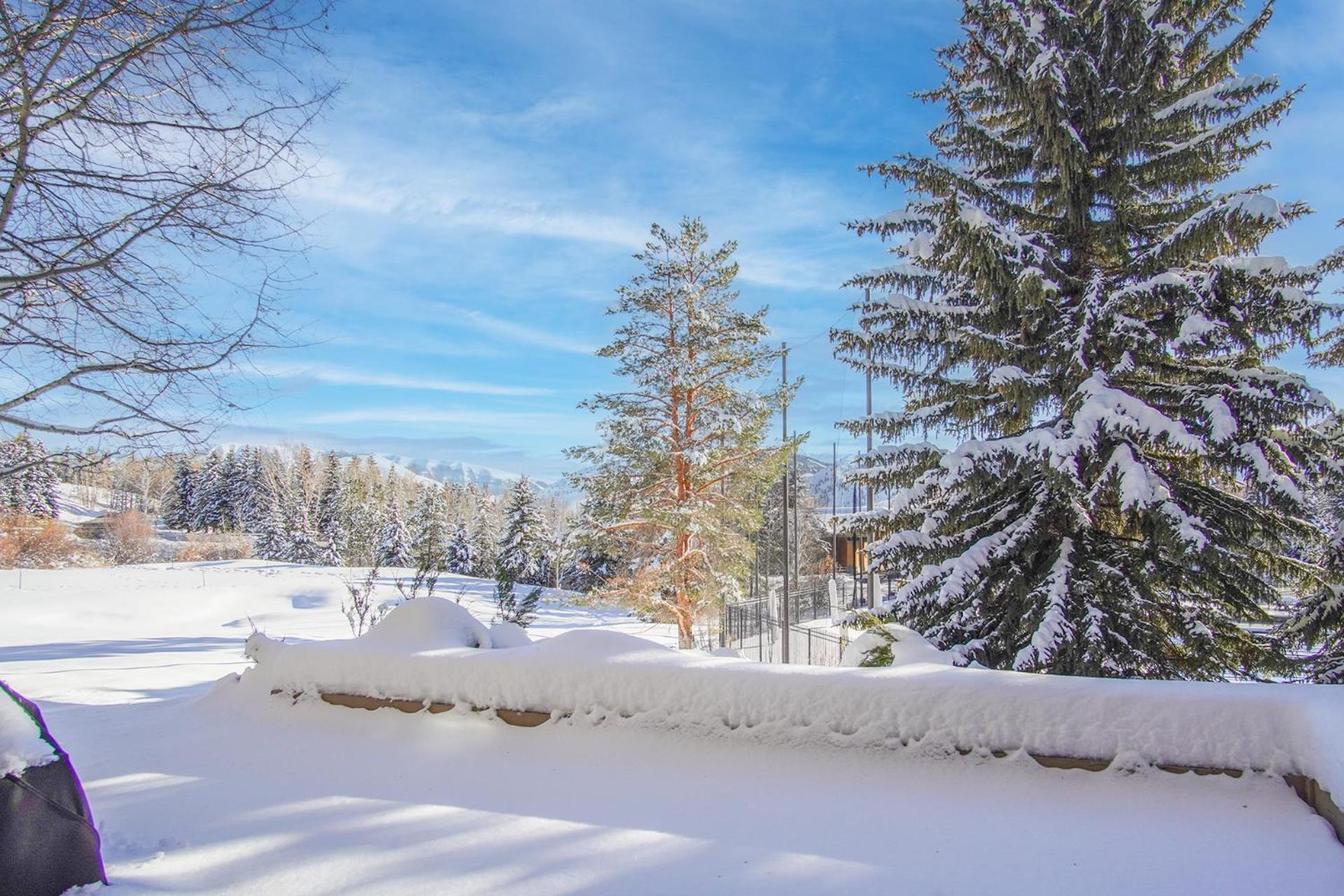 Bonne Vie Condo with Elkhorn Amenity Passes!