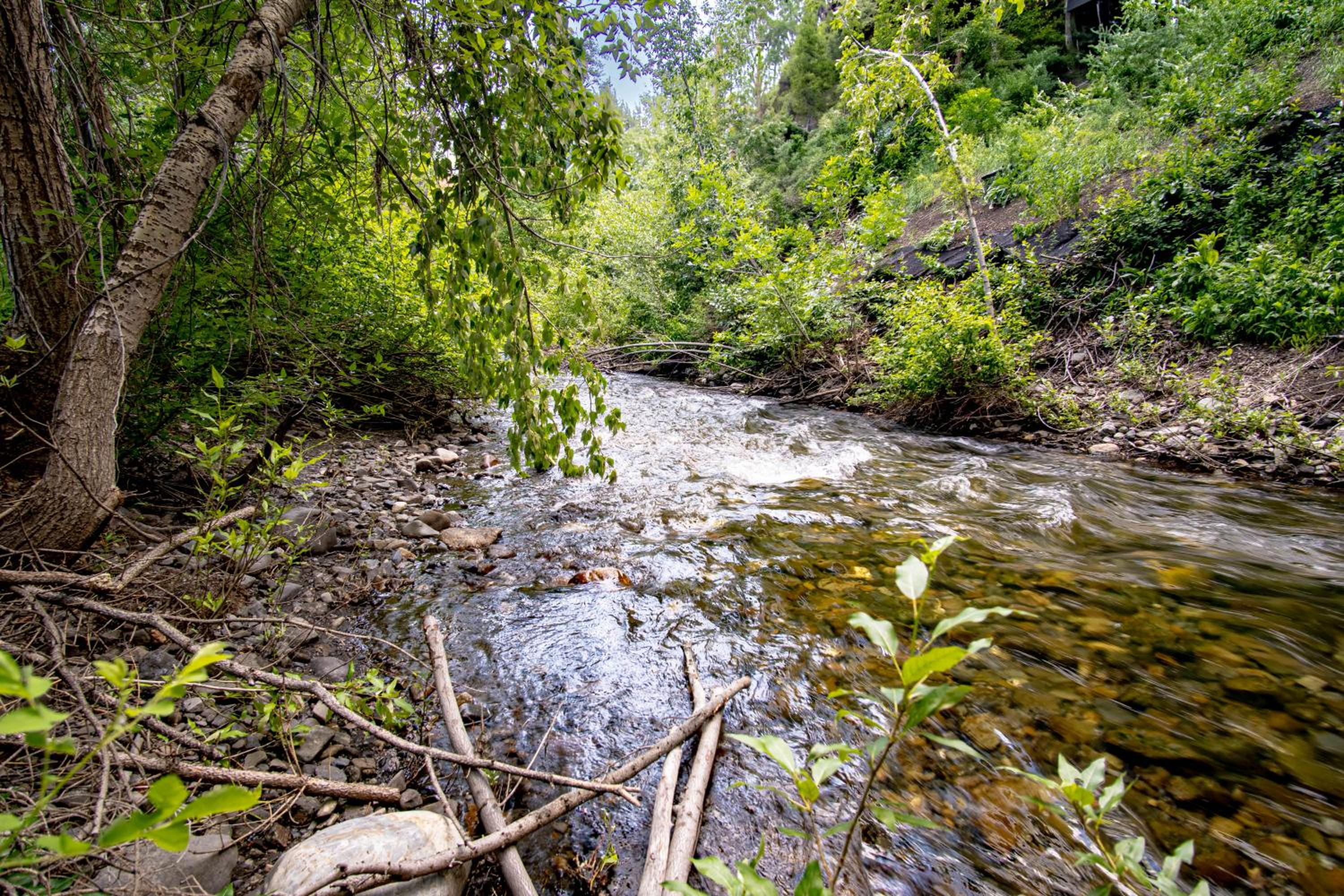 Andora Alpine Retreat - 2BD in downtown Ketchum