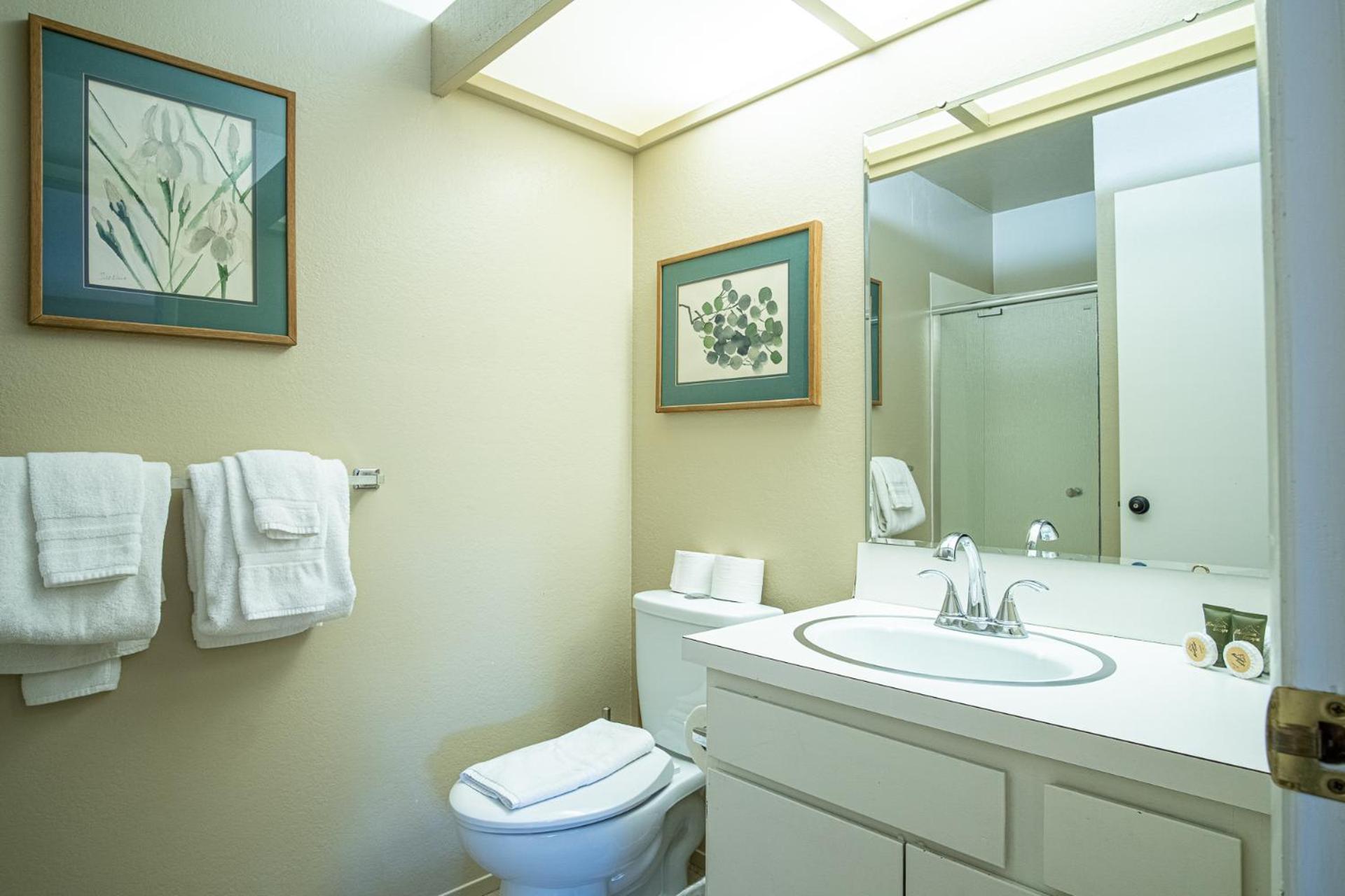 SV145 - Walk to Lifts & Town - Hot Tub & Pool