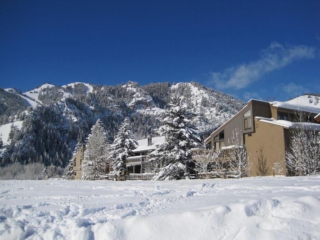 SV145 - Walk to Lifts & Town - Hot Tub & Pool