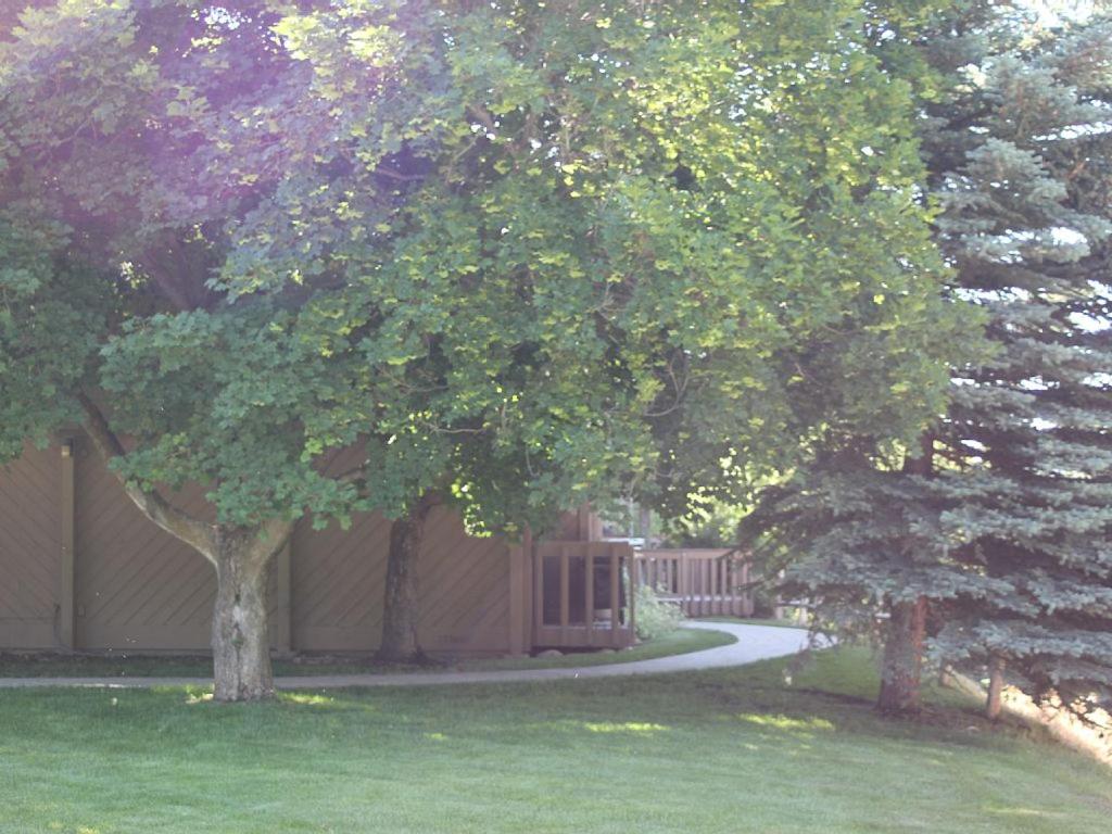 SV113 - Walk to Lifts & Town - Hot Tub & Pool