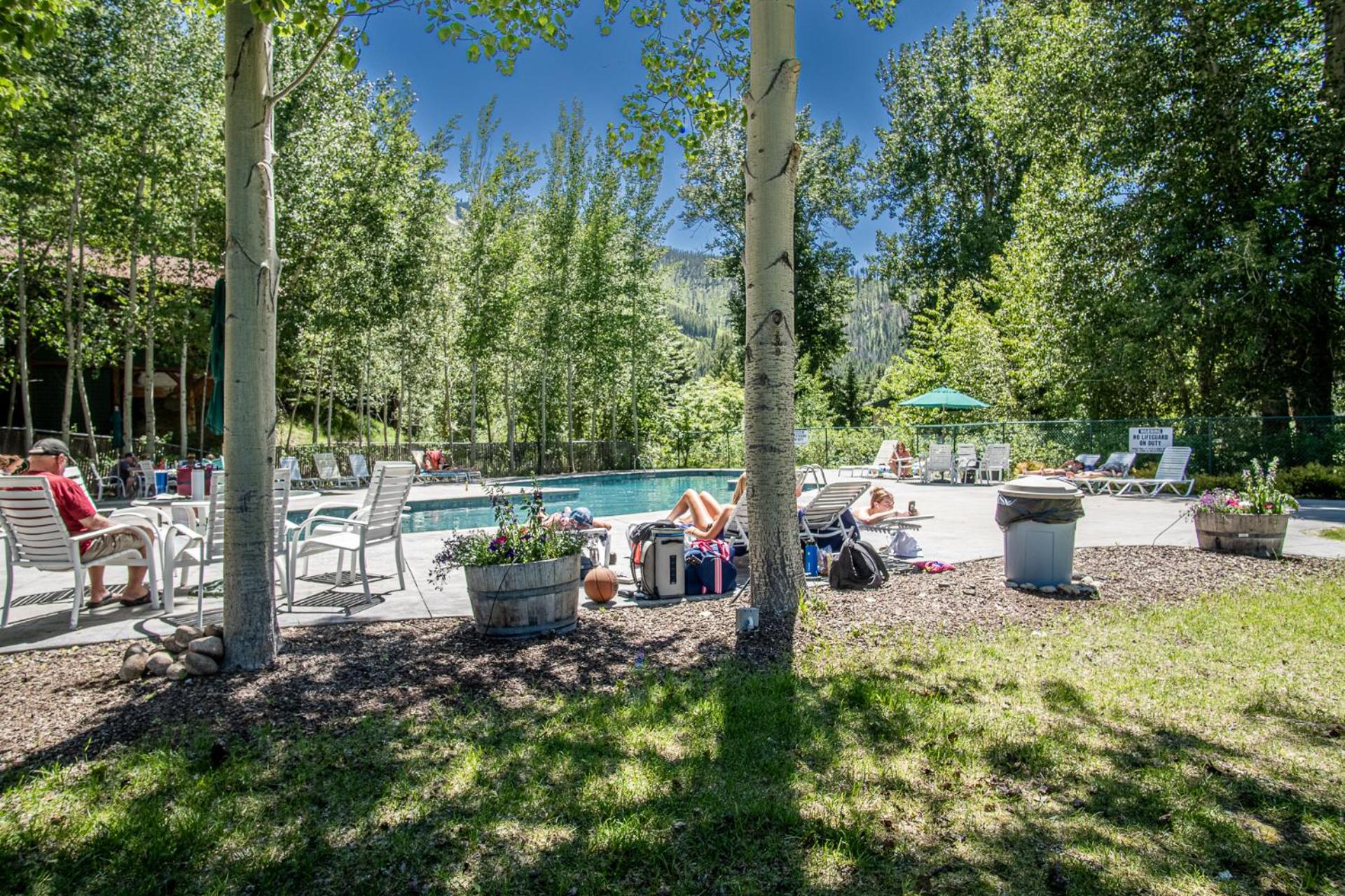 Warm Springs Condo - pool, hot tub, walk to ski lifts!