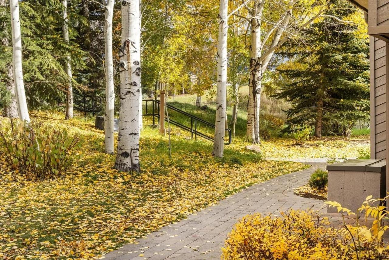 Snow Creek 1541 - Ski-in/Ski-out + Pool & Hot Tub
