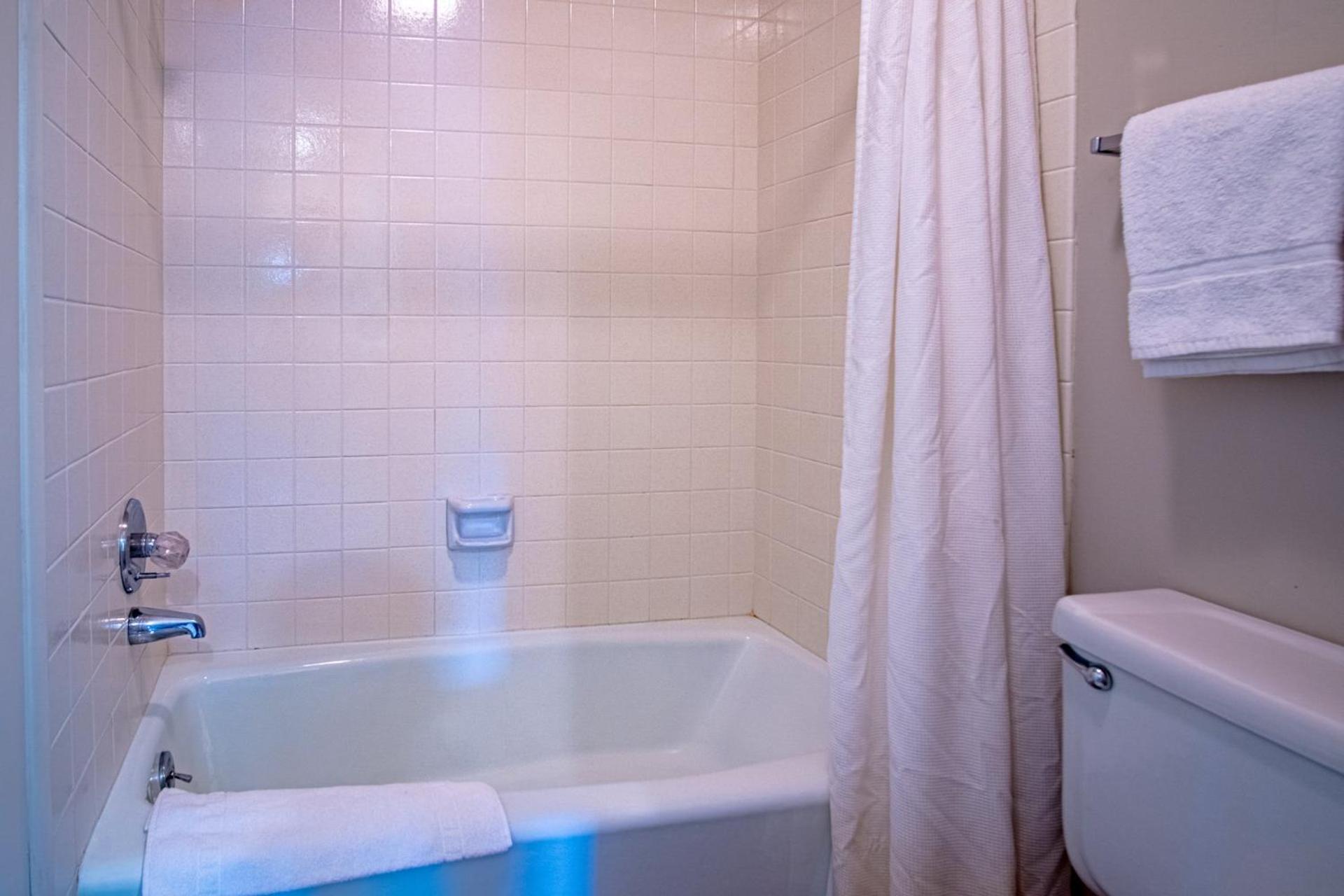 Sawtooth Ski Condo - Hot Tub + Walk to Ski Slopes!