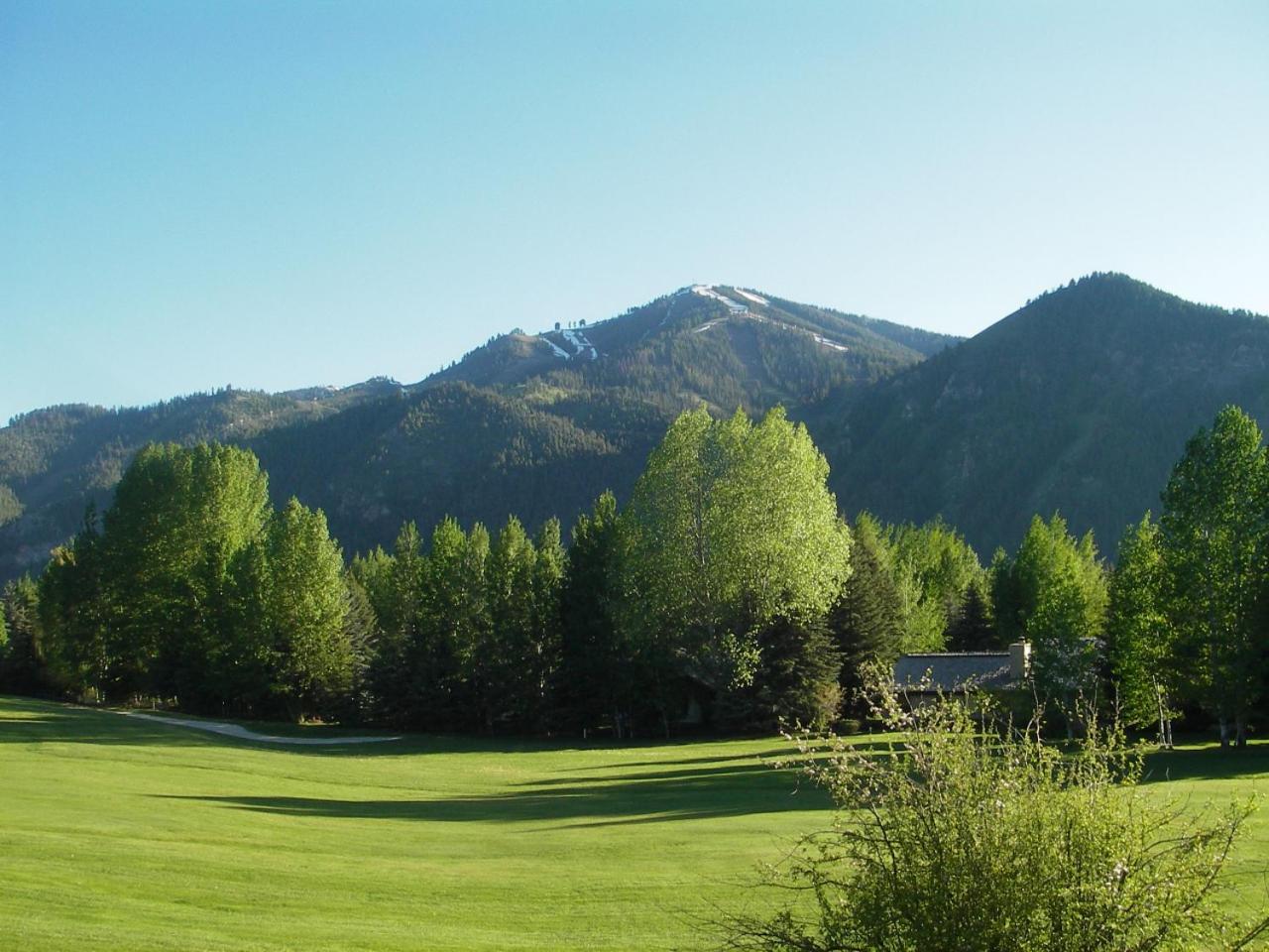 Bigwood B14 - Prime Location + Big Bald Mountain Views!