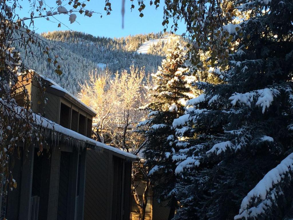 SV140 - Walk to Lifts & Town - Hot Tub & Pool