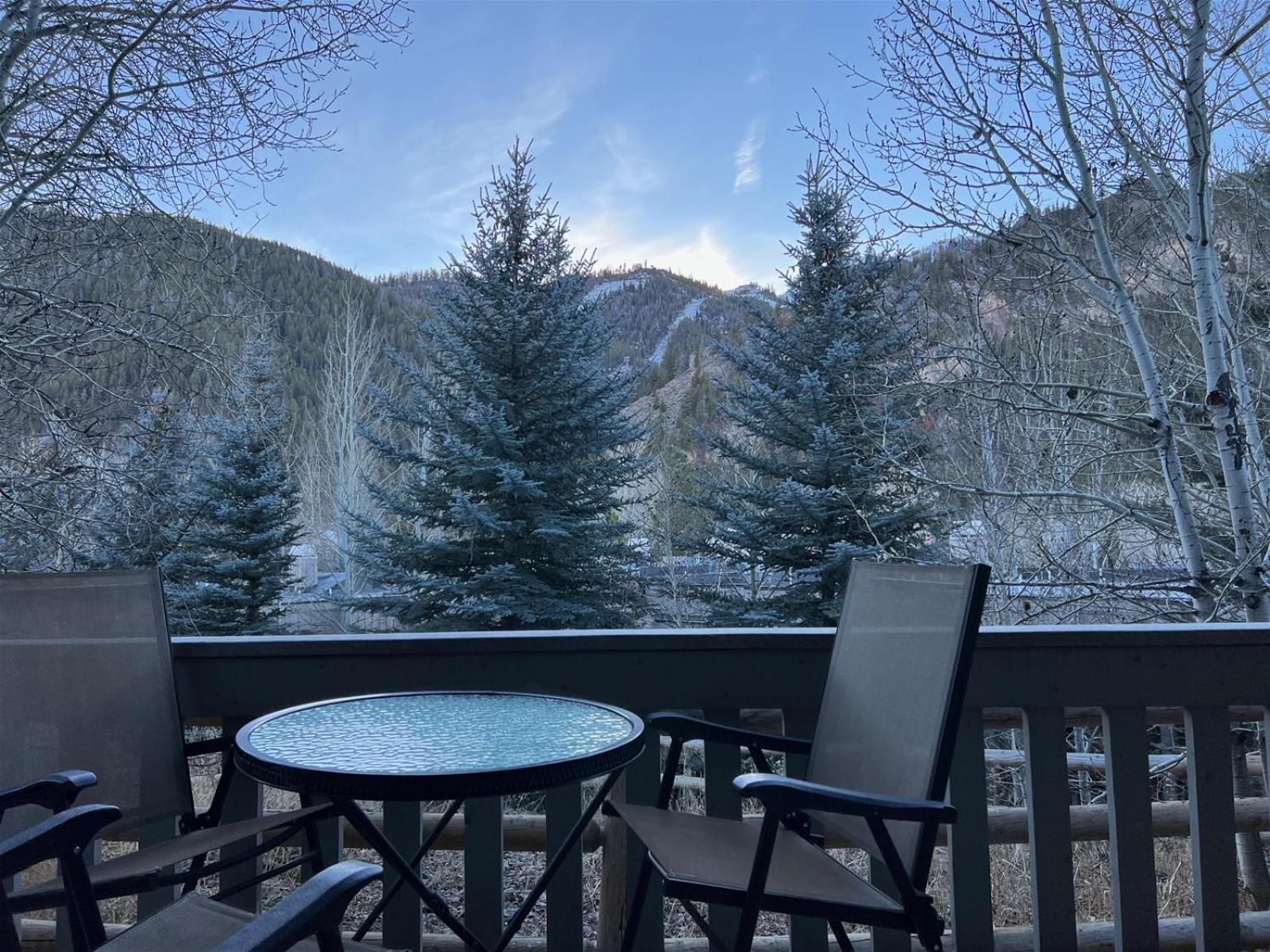 Sun Valley Condo 123