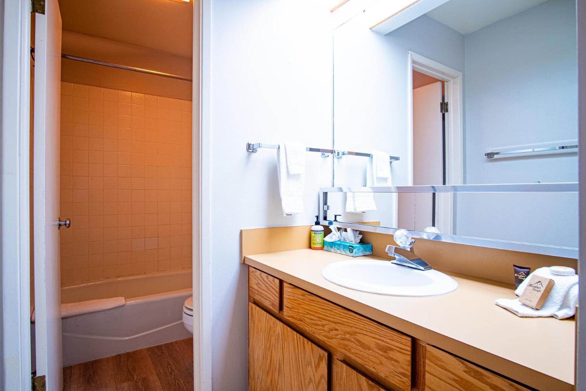 Sawtooth Ski Condo - Hot Tub + Walk to Ski Slopes!