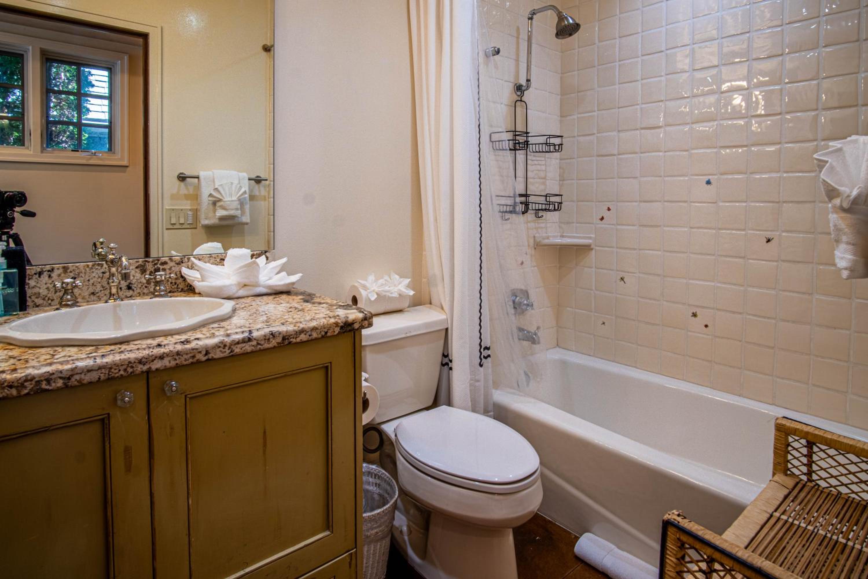 Chateau Du Soleil- Luxury Home near Ski Lifts & Downtown Ketchum!