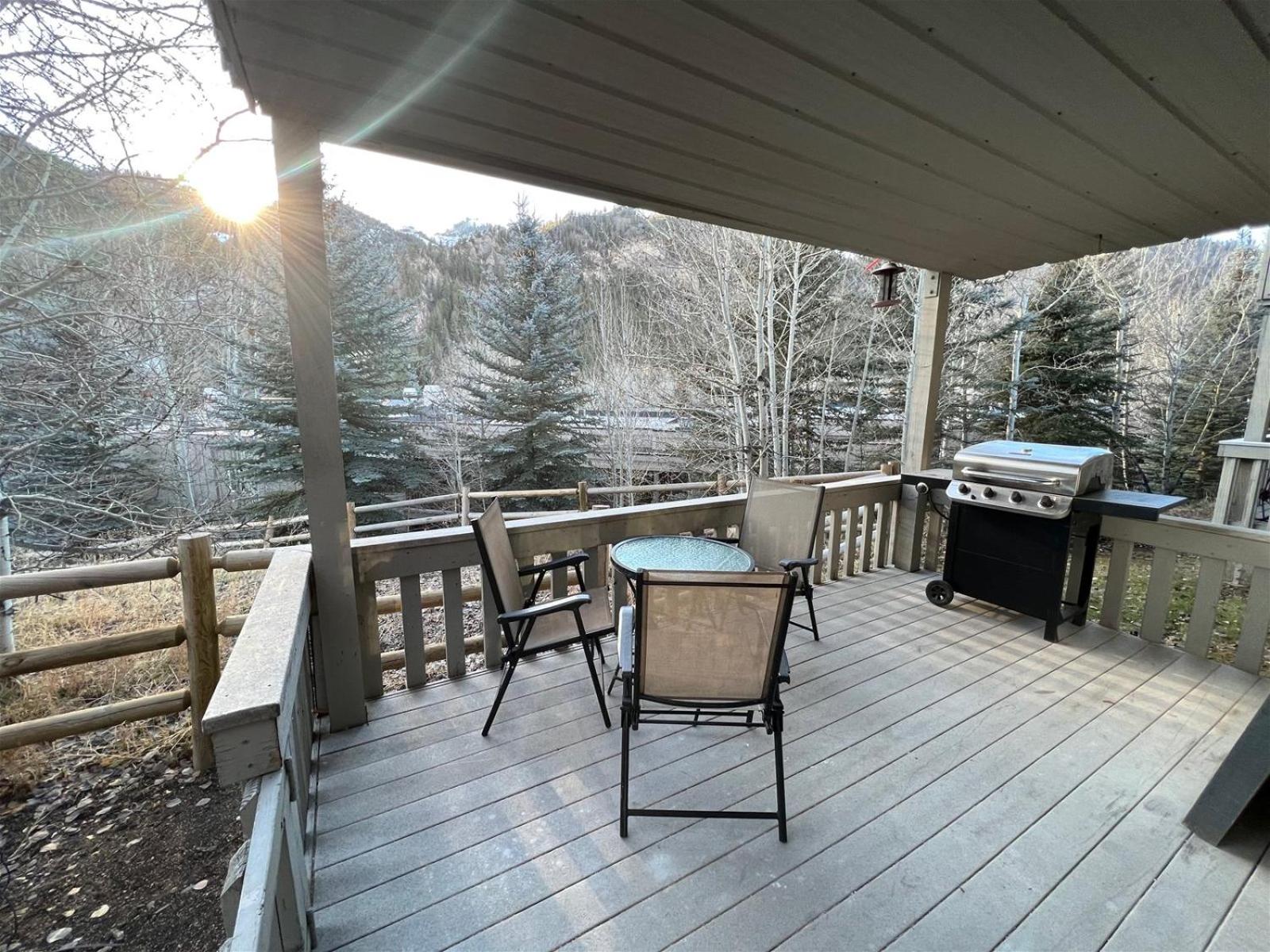 Sun Valley Condo 123