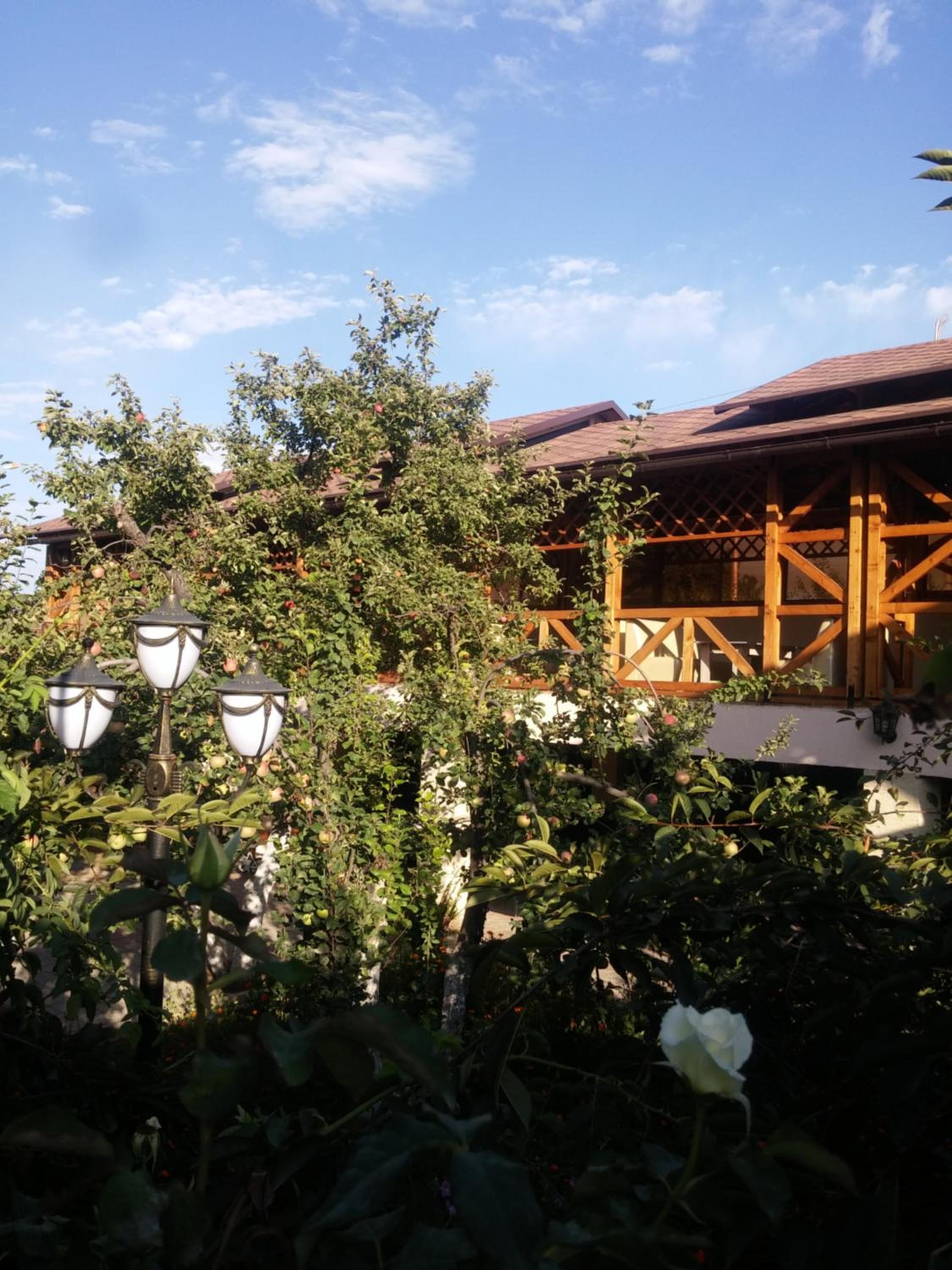 Guest House Albatros