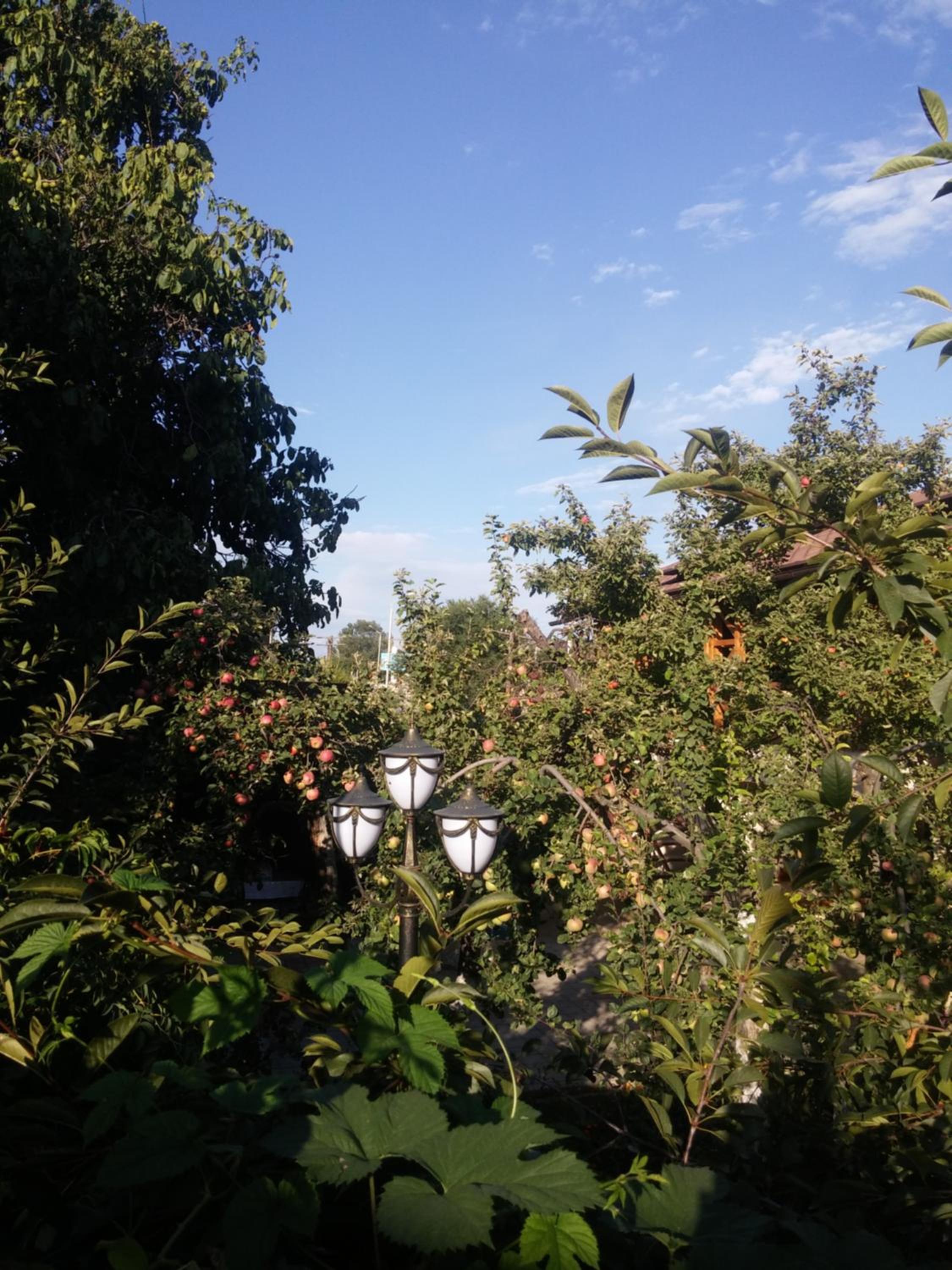Guest House Albatros