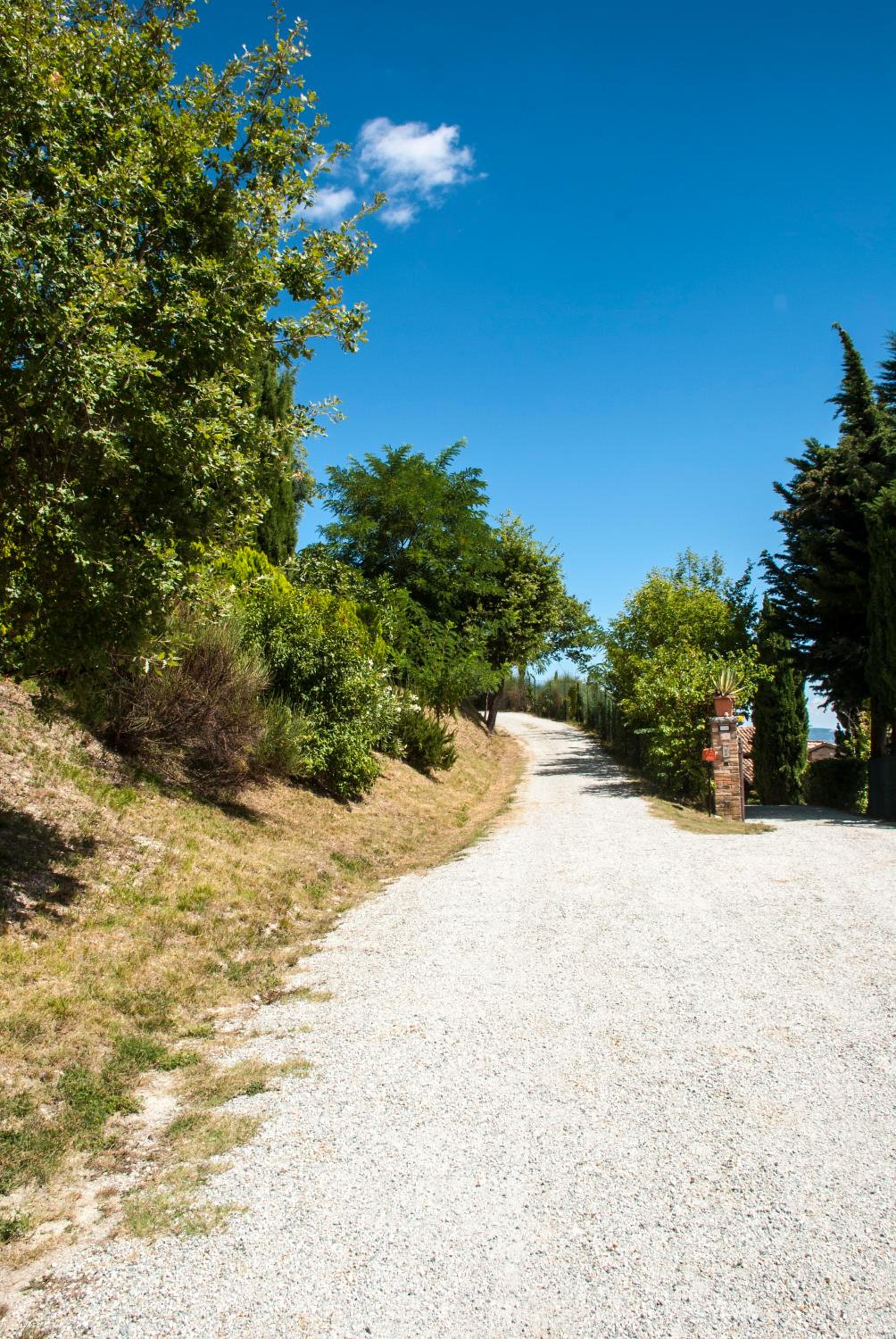 Calmancino delle Selve