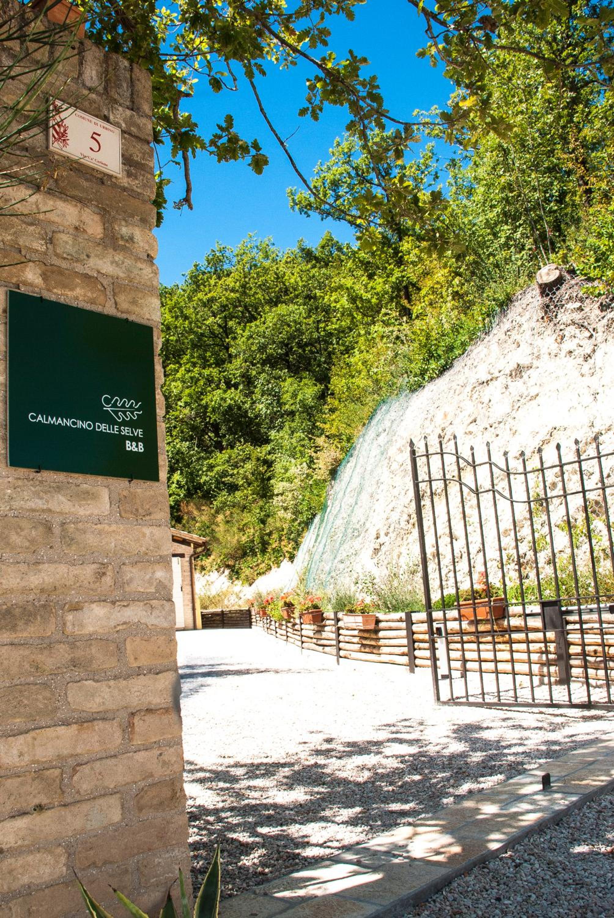 Calmancino delle Selve