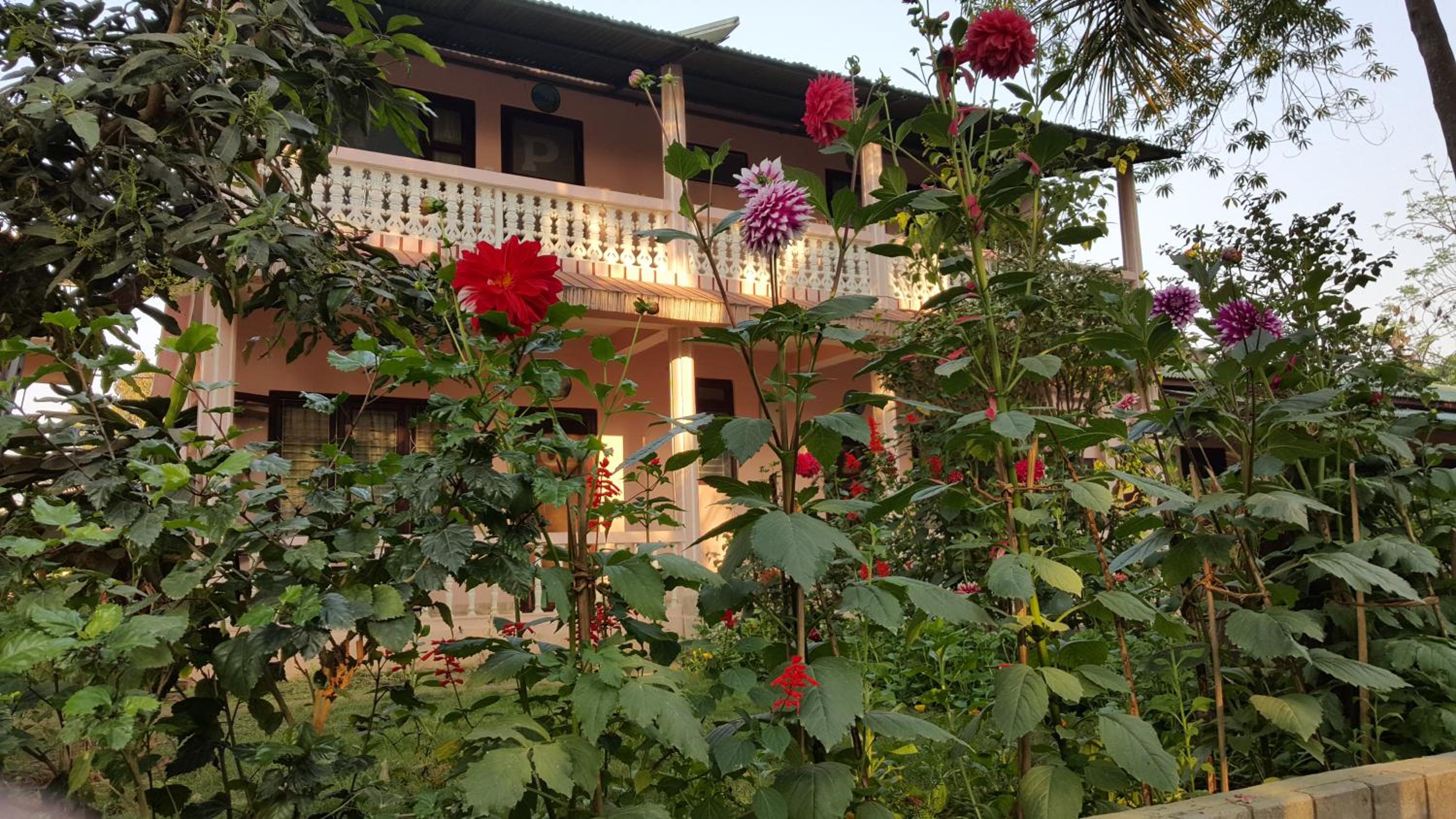 Sauraha Resort