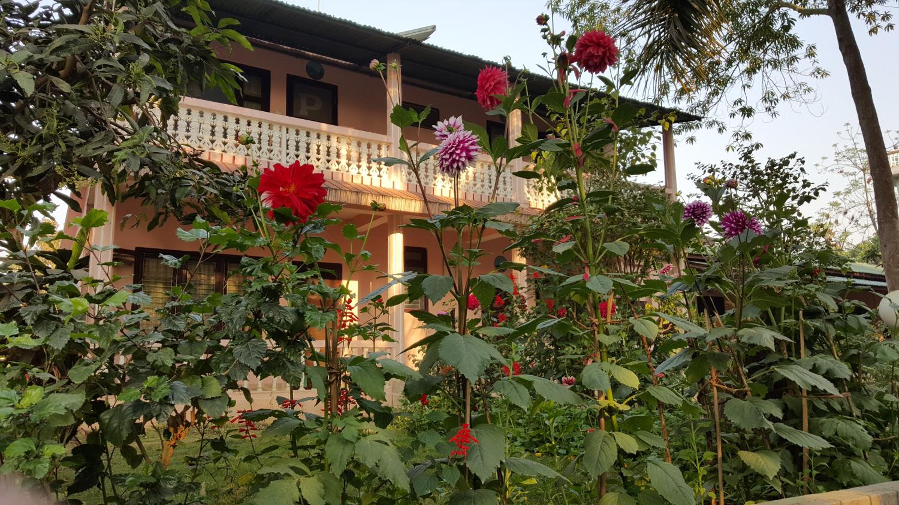 Sauraha Resort