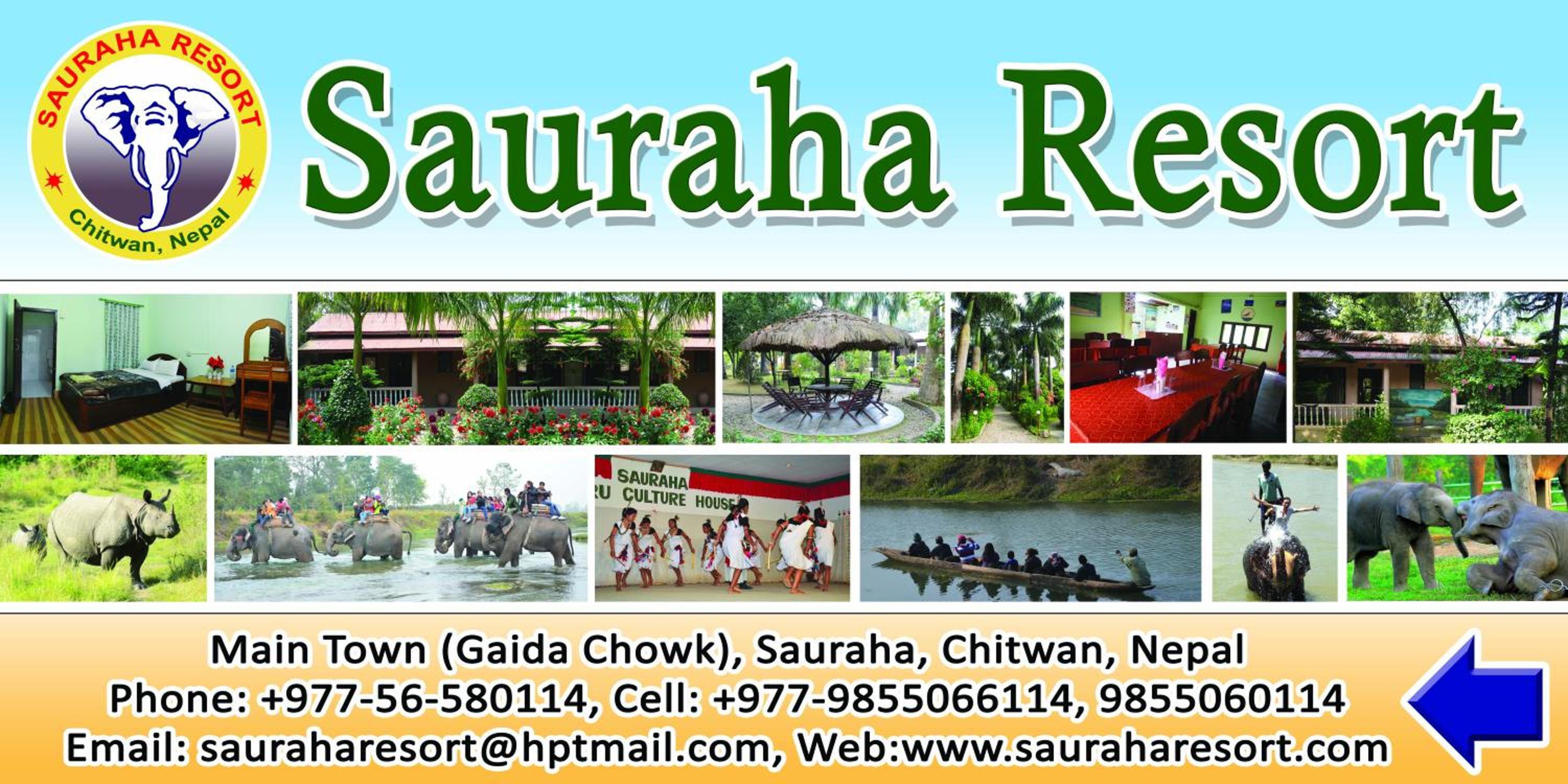Sauraha Resort