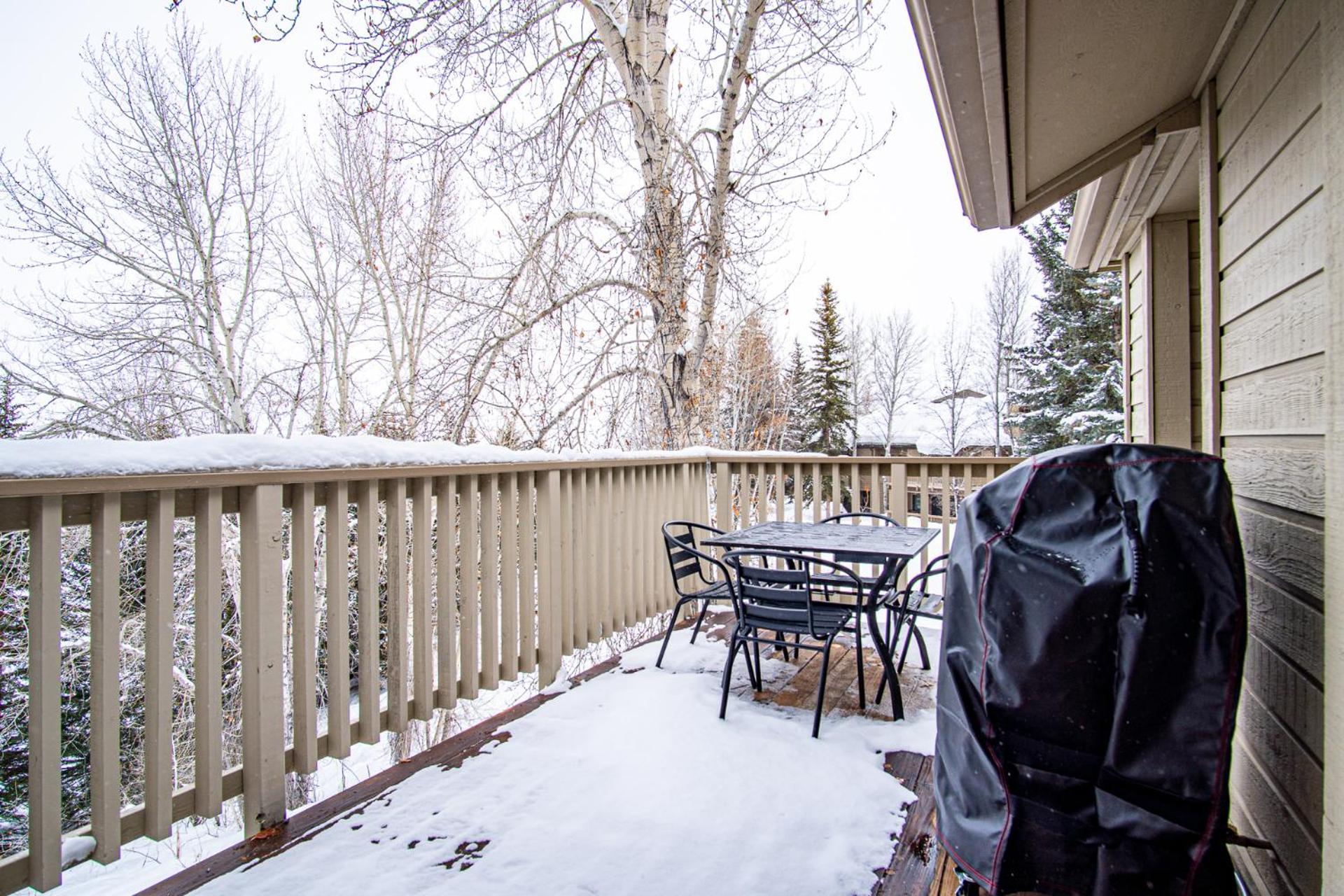 Classy, contemporary, cozy, Sun Valley con with Community & Resort Amenities