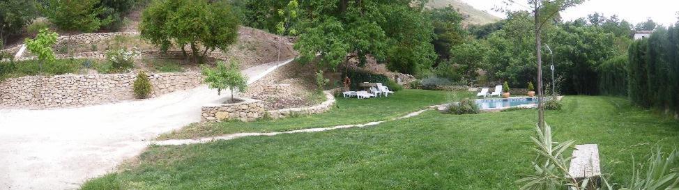Photo 25