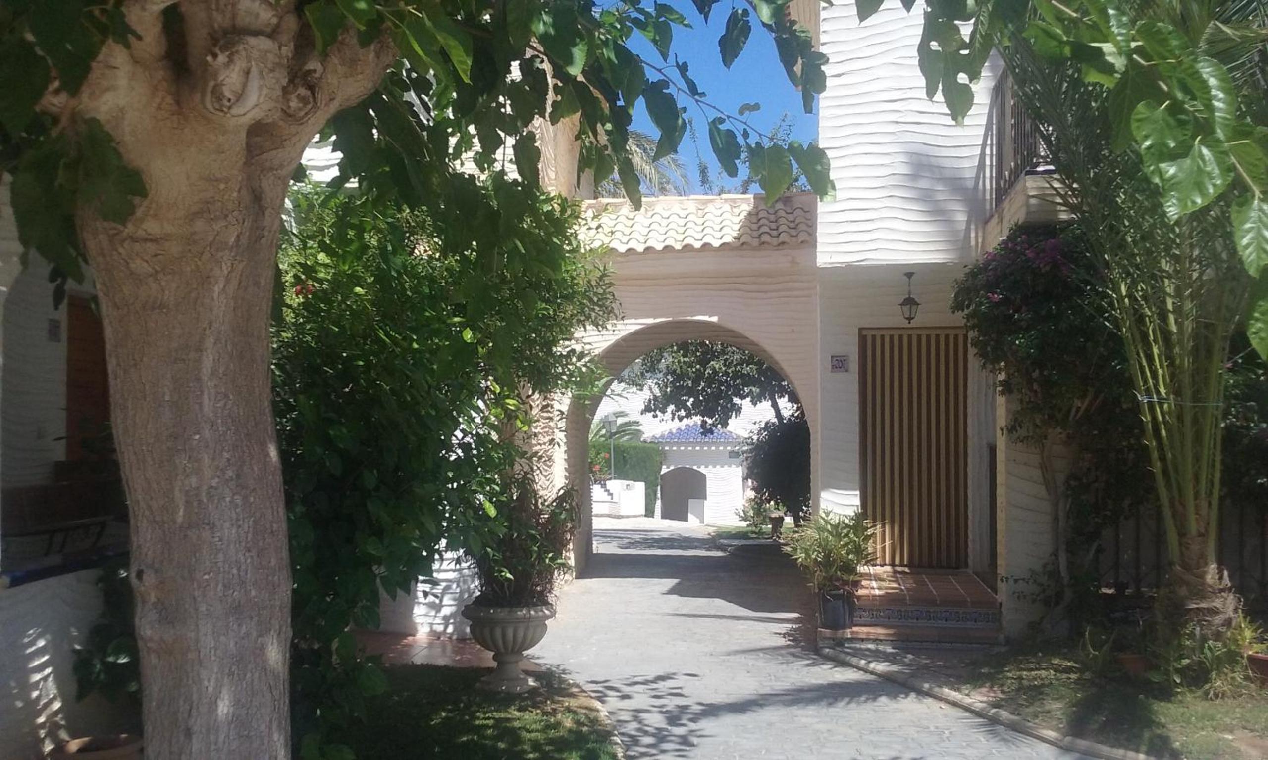 Photo 43