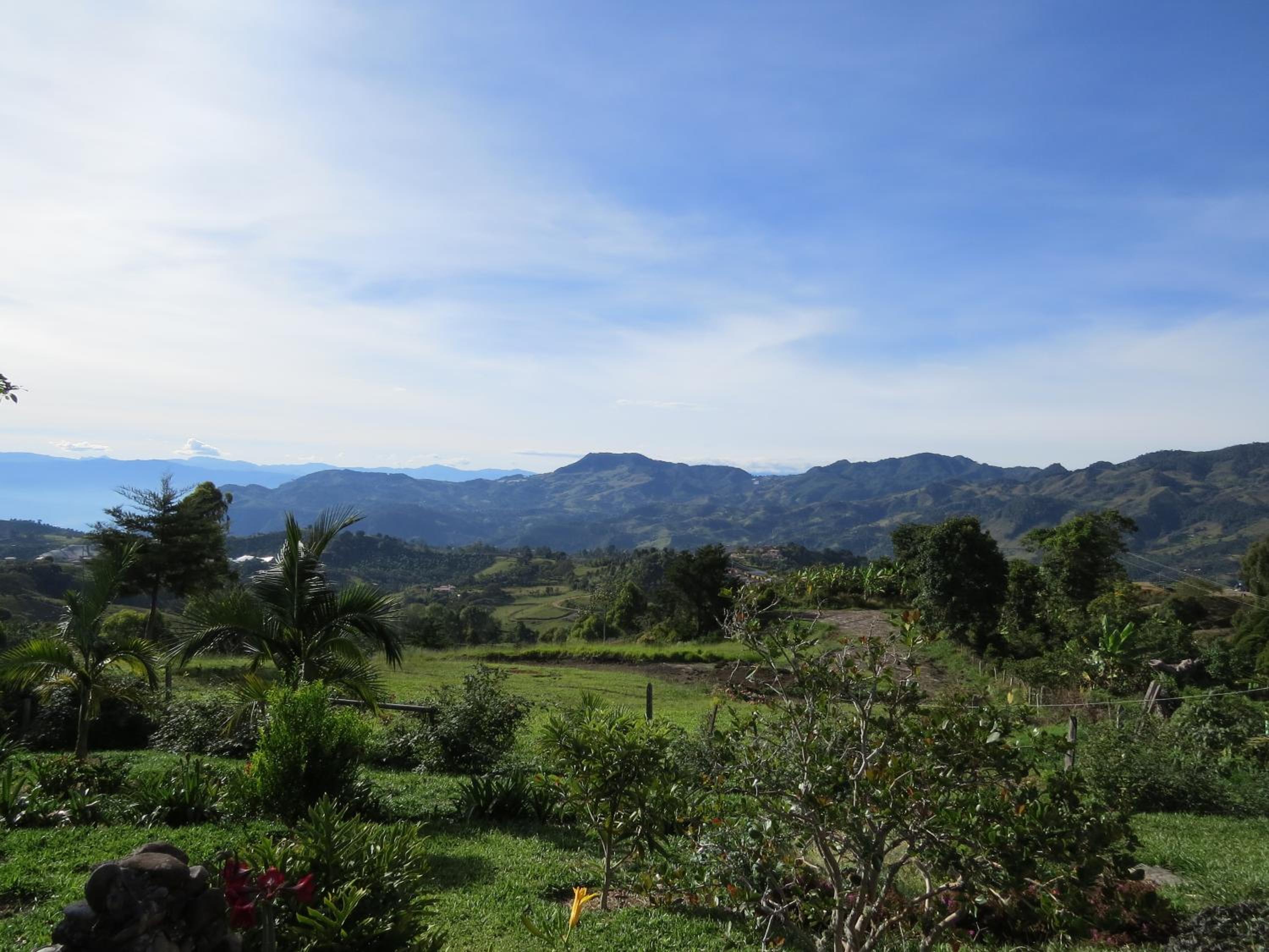 Cabañas y Flores
