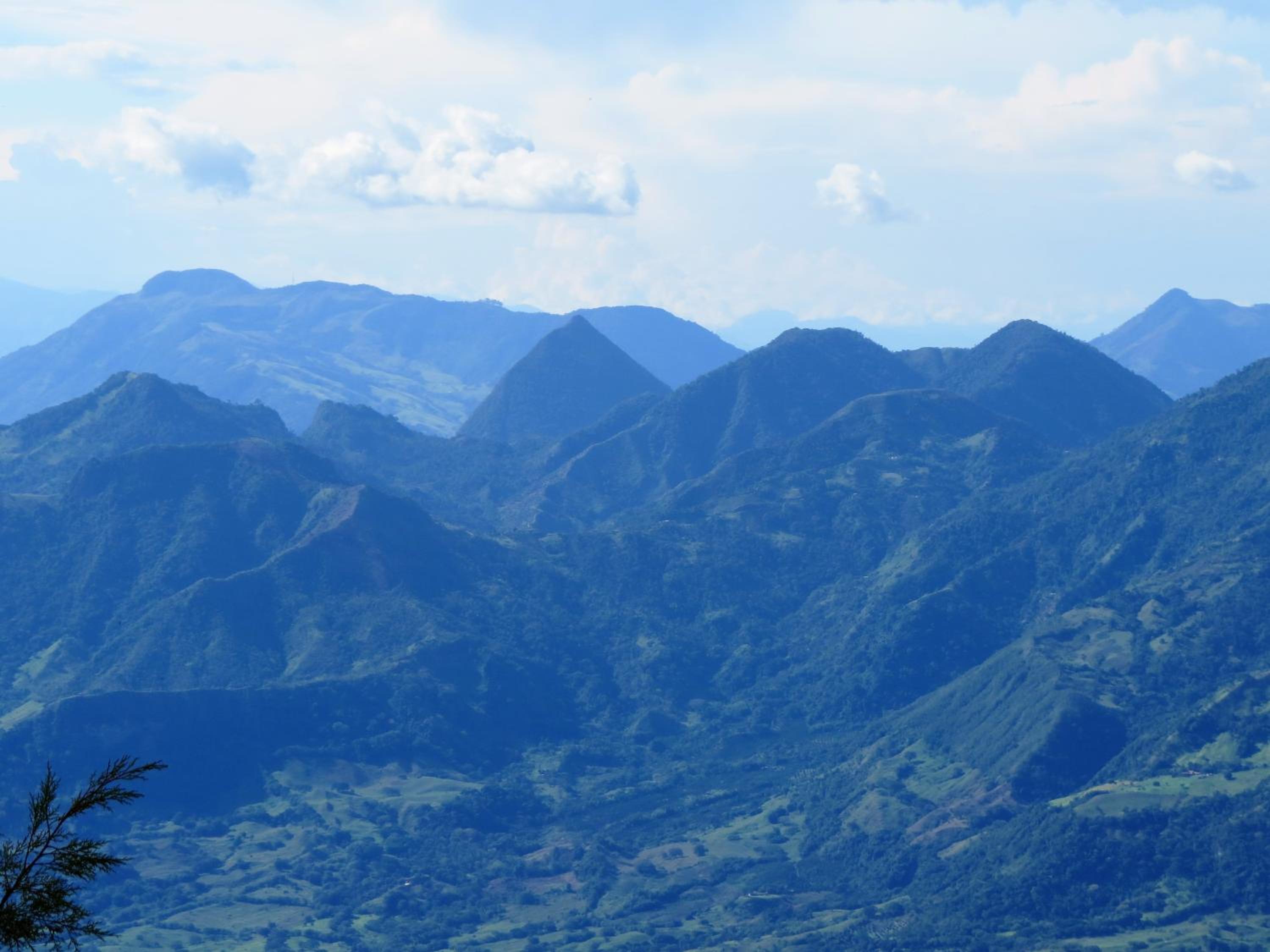 Cabañas y Flores
