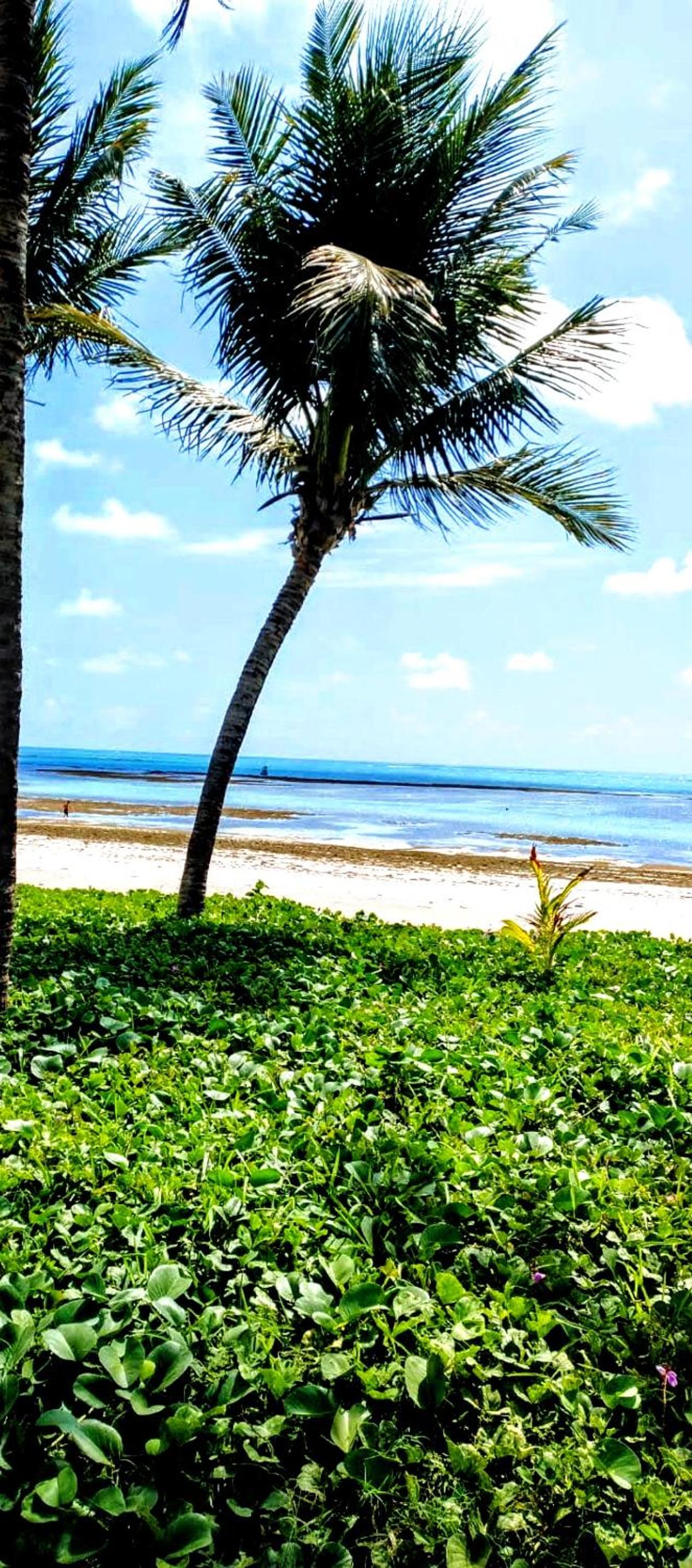 Refúgio à Beira Mar em Tamandaré Pernambucano - Pé na Areia