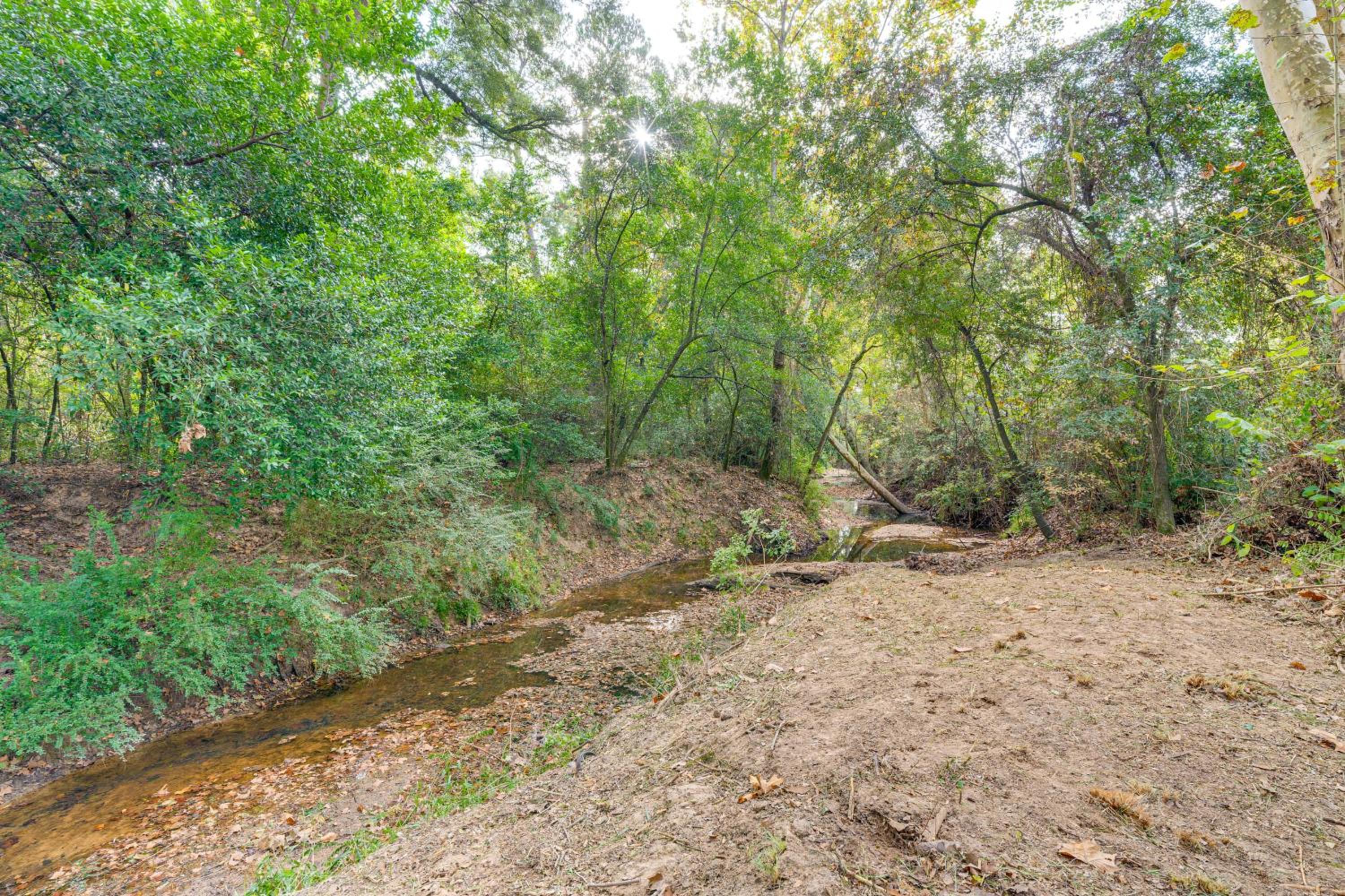 Hike and Relax Tranquil Wooded Escape in Hockley