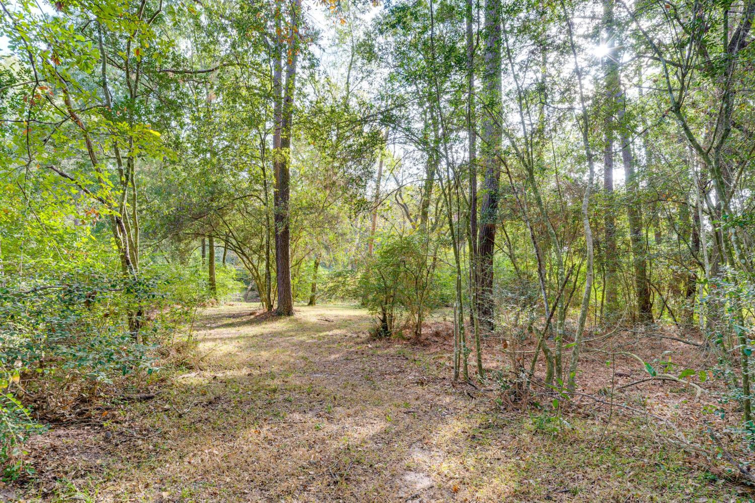 Hike and Relax Tranquil Wooded Escape in Hockley