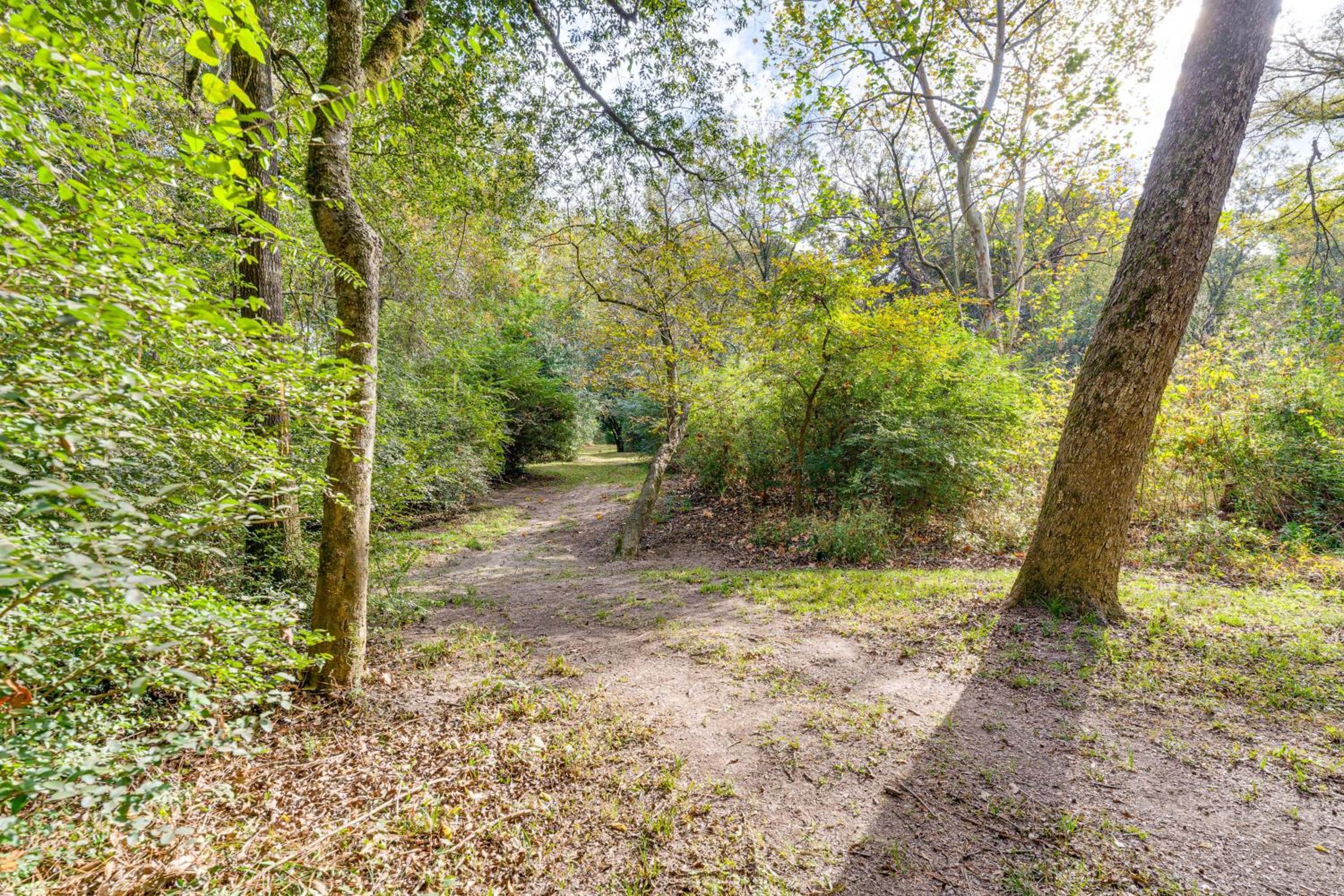 Hike and Relax Tranquil Wooded Escape in Hockley