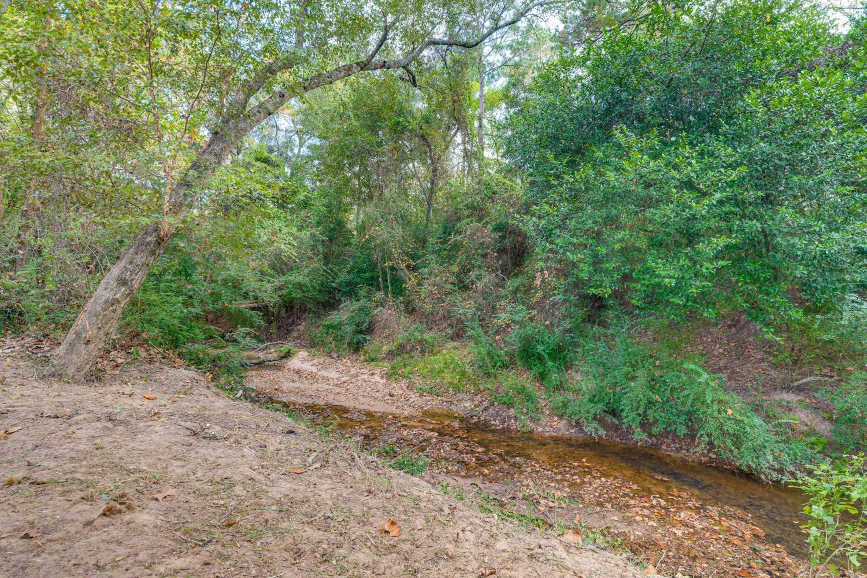Hike and Relax Tranquil Wooded Escape in Hockley