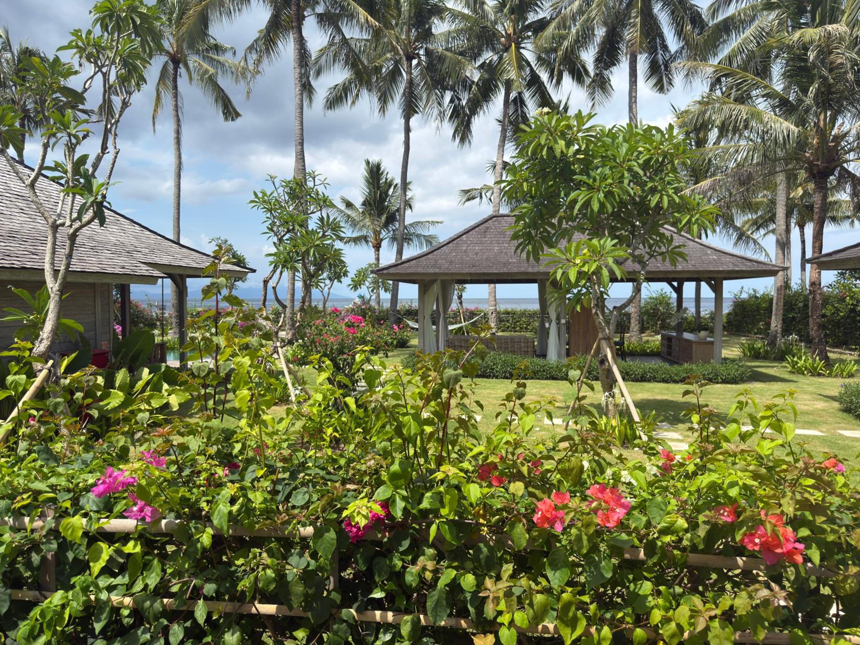 Seven Dreams A Pramana Experience